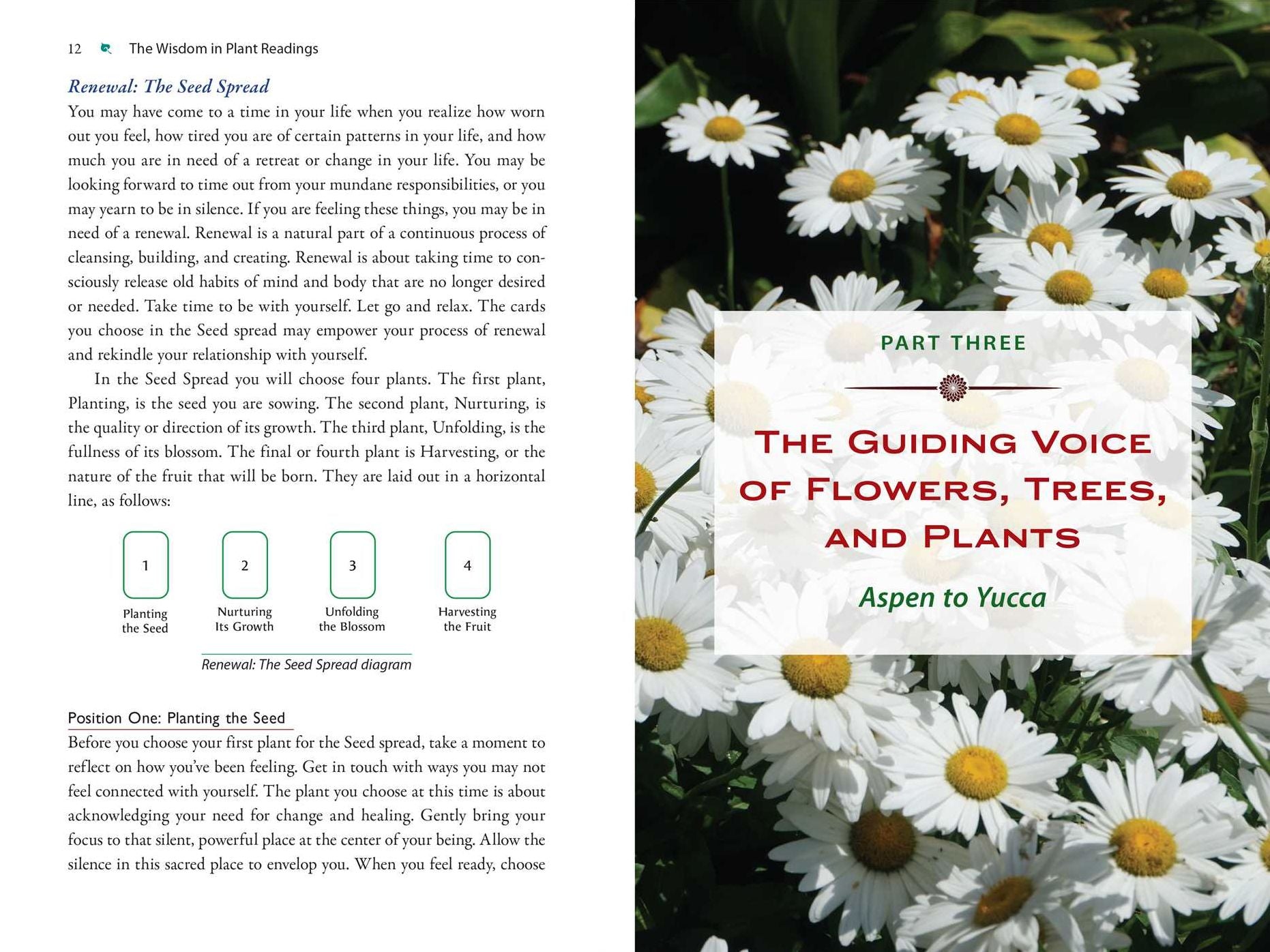 Plant Energy Medicine: The Guiding Voice and Healing Vibration of 58 Plants