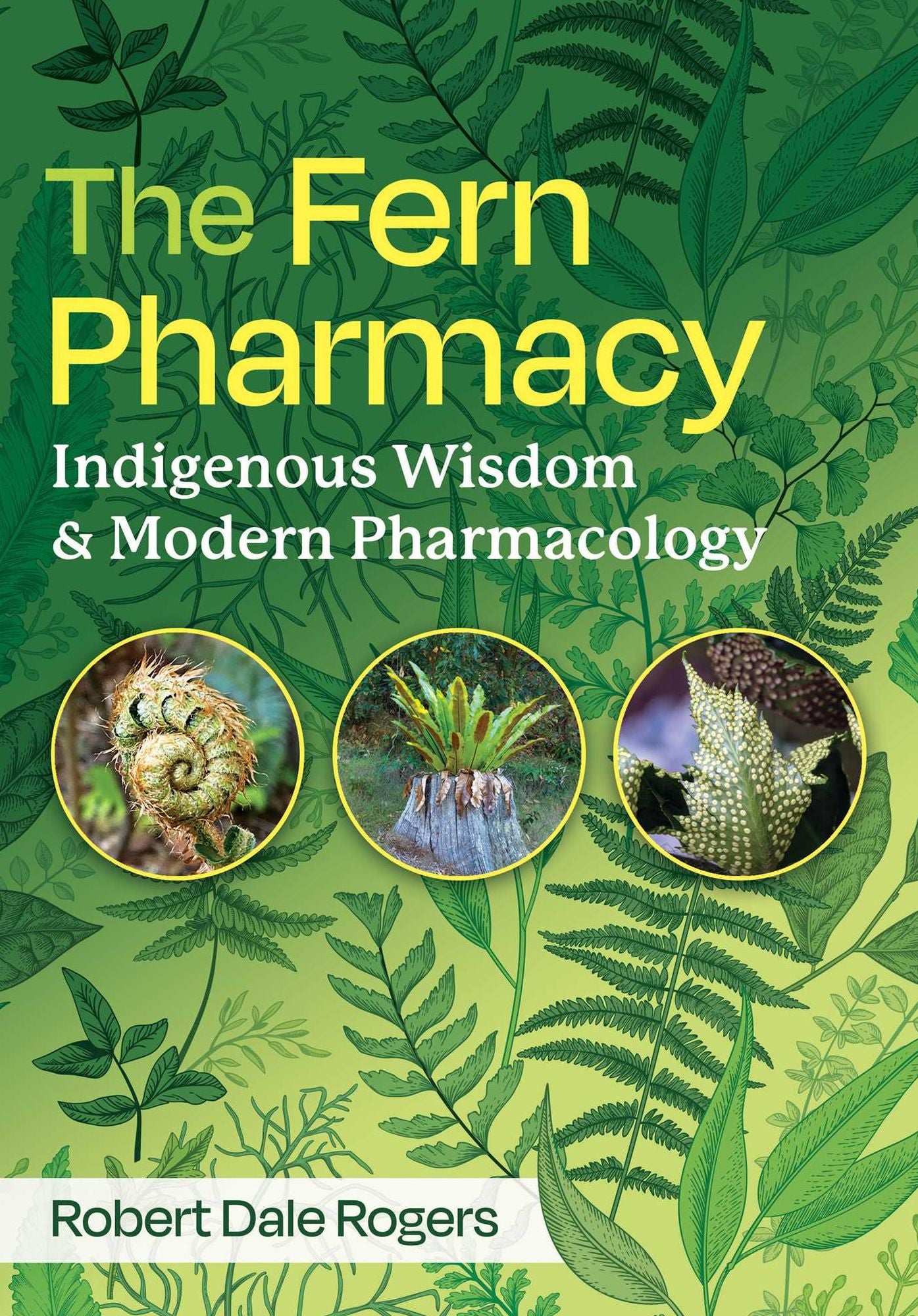 The Fern Pharmacy: Indigenous Wisdom and Modern Pharmacology