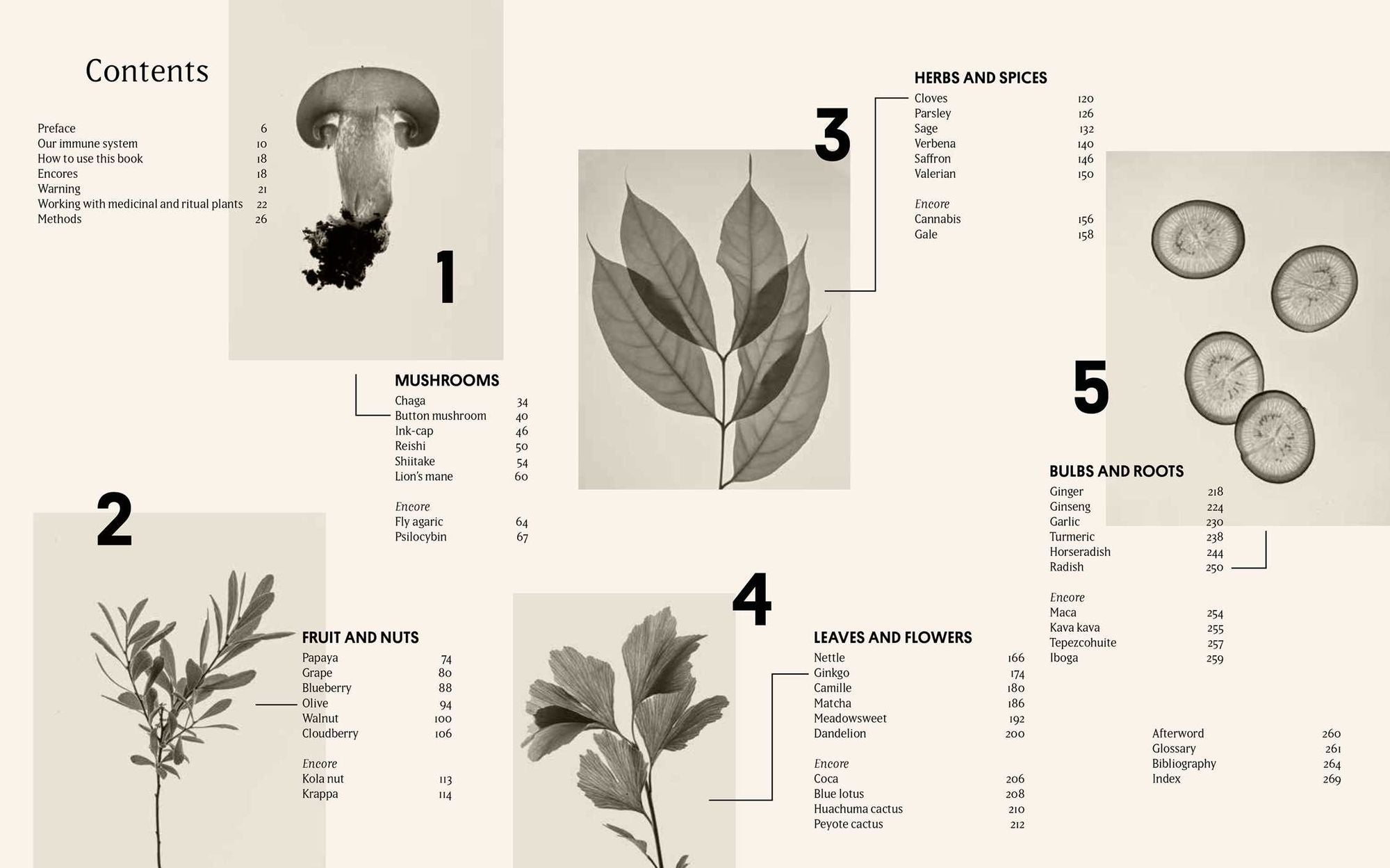 Plant Power: Heal Yourself with Medicinal Mushrooms, Roots, Flowers, and Herbs