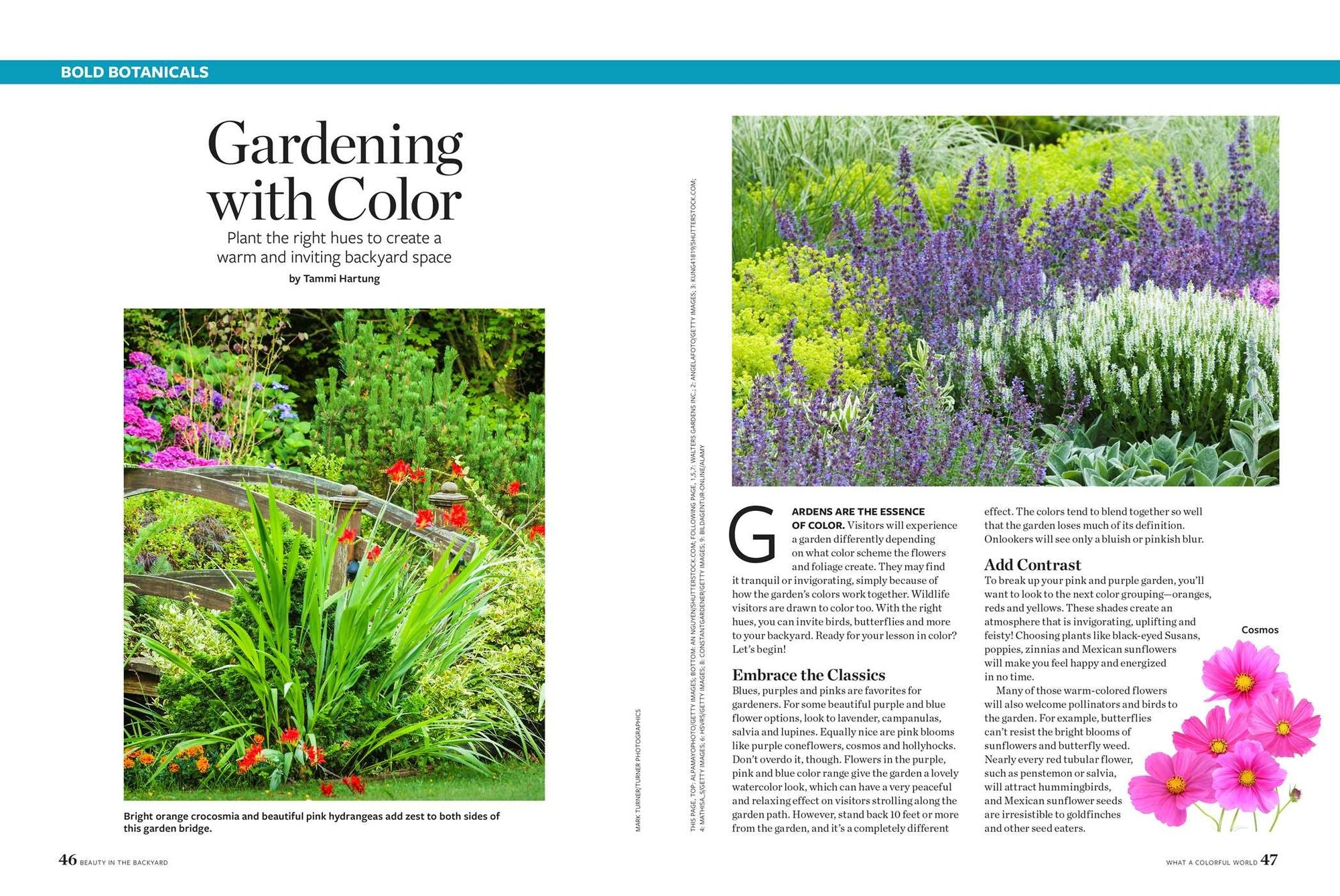 Birds & Blooms Beauty in the Backyard: 300+ TIPS, HINTS AND GARDEN GREATS TO CREATE AN OUTDOOR SPACE YOU CAN APPRECIATE YEAR-ROUND