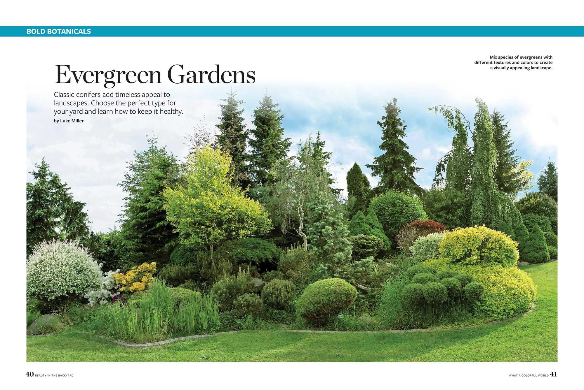 Birds & Blooms Beauty in the Backyard: 300+ TIPS, HINTS AND GARDEN GREATS TO CREATE AN OUTDOOR SPACE YOU CAN APPRECIATE YEAR-ROUND
