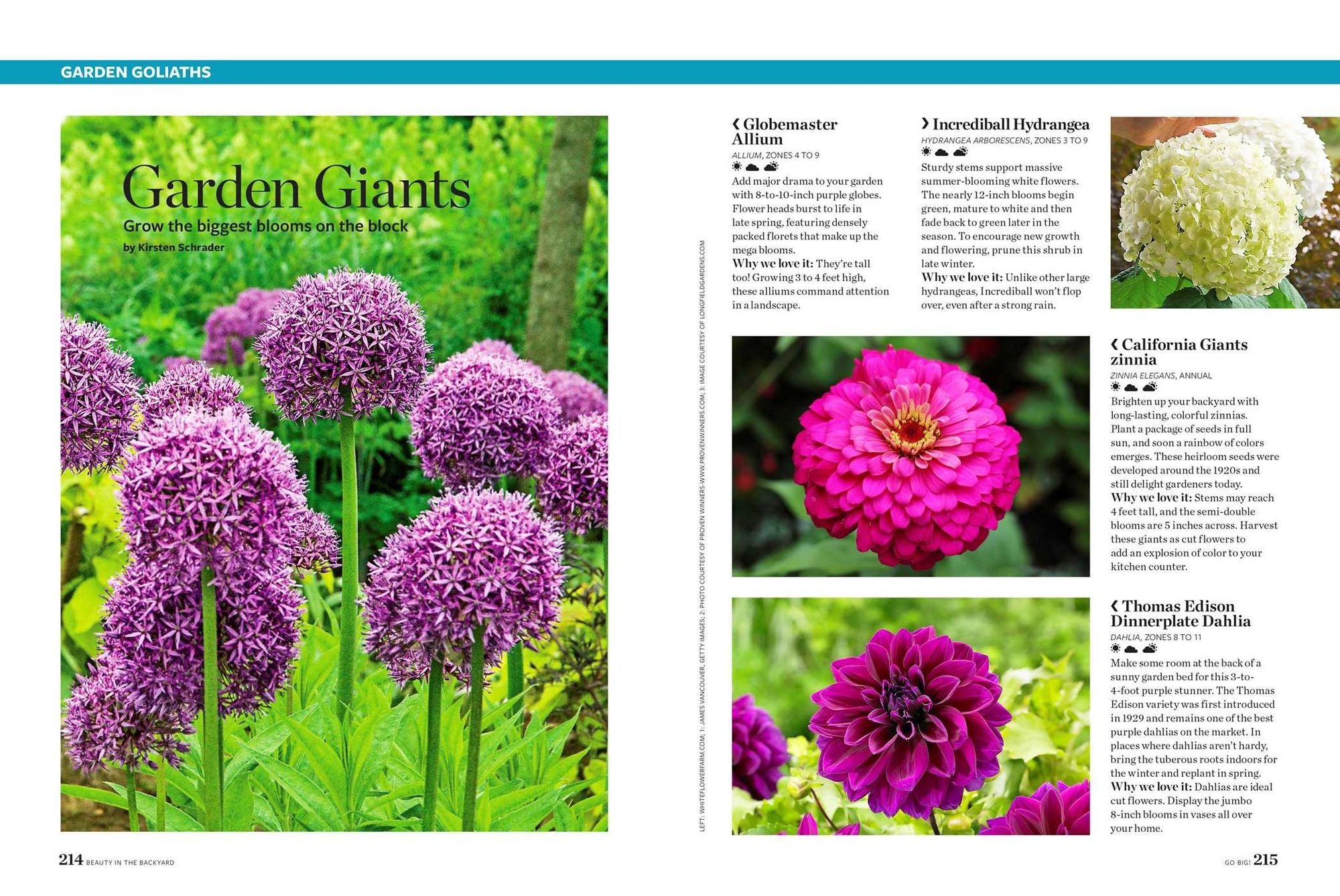 Birds & Blooms Beauty in the Backyard: 300+ TIPS, HINTS AND GARDEN GREATS TO CREATE AN OUTDOOR SPACE YOU CAN APPRECIATE YEAR-ROUND