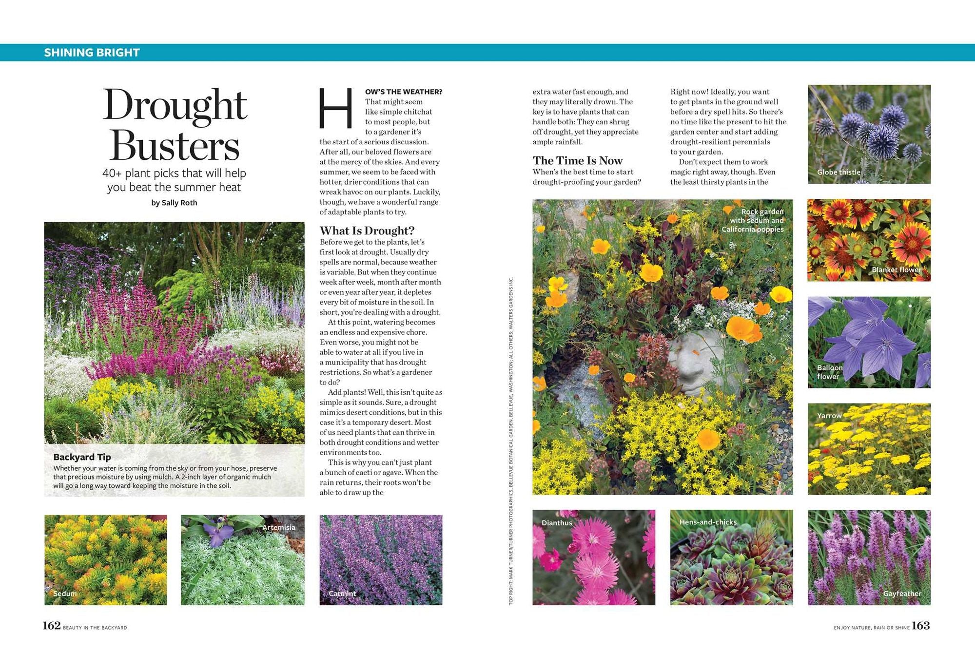 Birds & Blooms Beauty in the Backyard: 300+ TIPS, HINTS AND GARDEN GREATS TO CREATE AN OUTDOOR SPACE YOU CAN APPRECIATE YEAR-ROUND