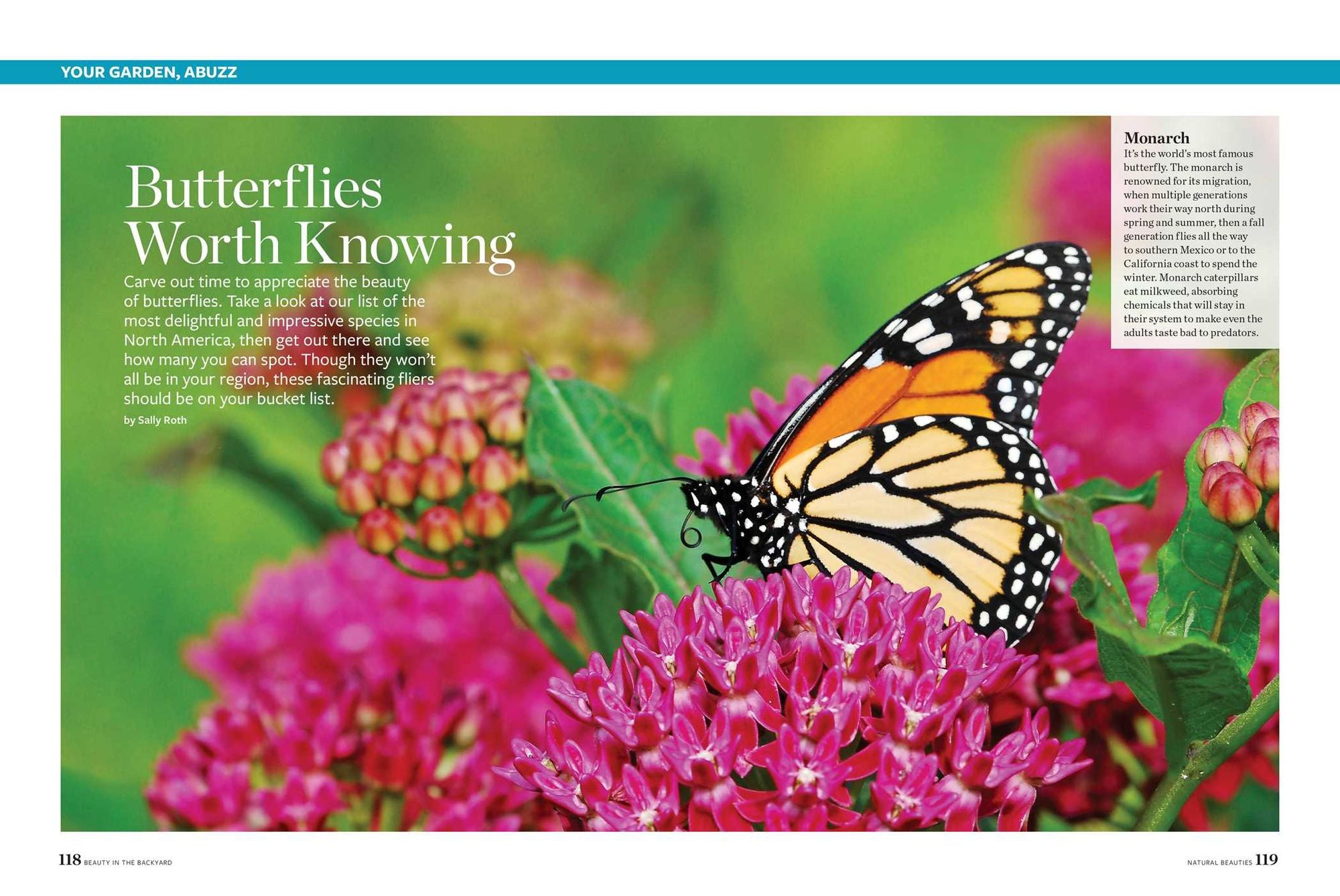 Birds & Blooms Beauty in the Backyard: 300+ TIPS, HINTS AND GARDEN GREATS TO CREATE AN OUTDOOR SPACE YOU CAN APPRECIATE YEAR-ROUND