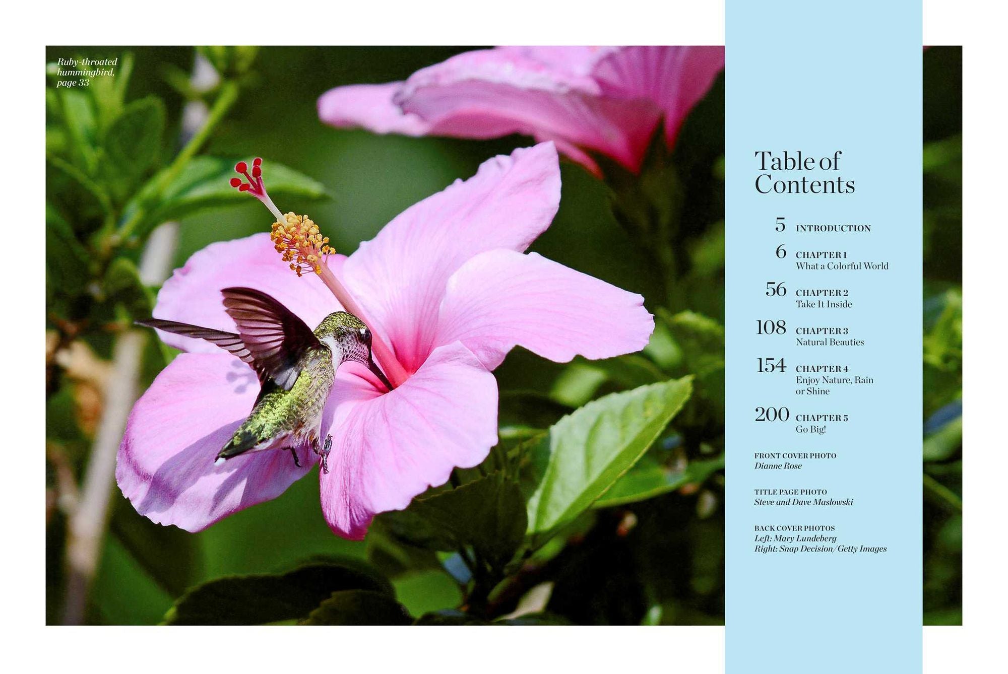 Birds & Blooms Beauty in the Backyard: 300+ TIPS, HINTS AND GARDEN GREATS TO CREATE AN OUTDOOR SPACE YOU CAN APPRECIATE YEAR-ROUND