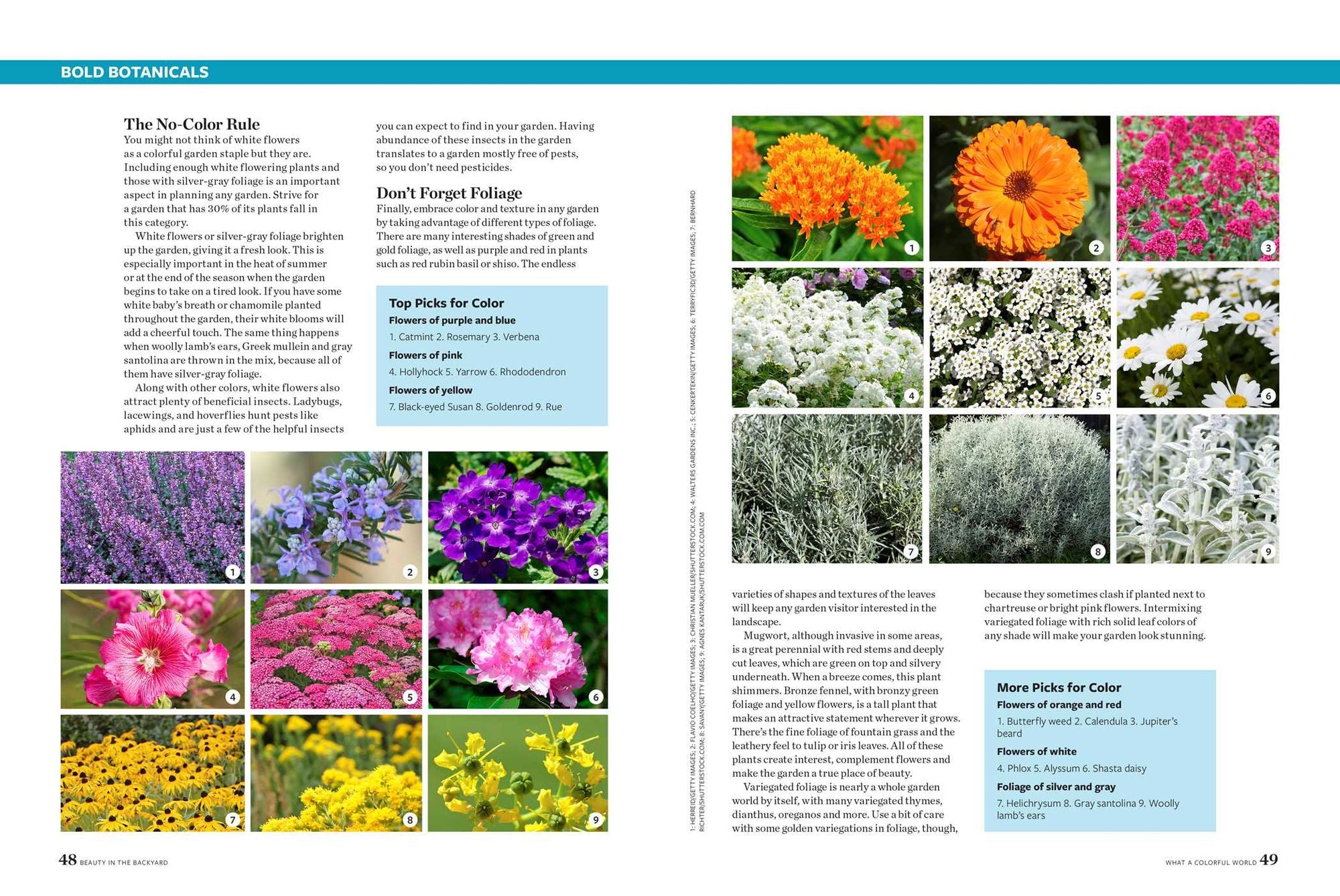 Birds & Blooms Beauty in the Backyard: 300+ TIPS, HINTS AND GARDEN GREATS TO CREATE AN OUTDOOR SPACE YOU CAN APPRECIATE YEAR-ROUND