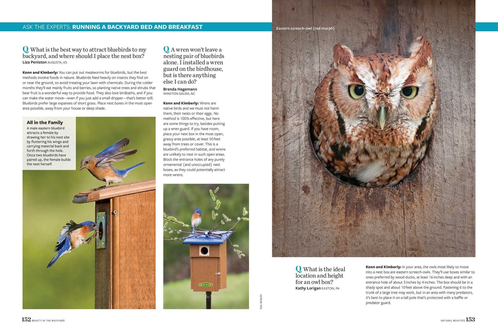 Birds & Blooms Beauty in the Backyard: 300+ TIPS, HINTS AND GARDEN GREATS TO CREATE AN OUTDOOR SPACE YOU CAN APPRECIATE YEAR-ROUND