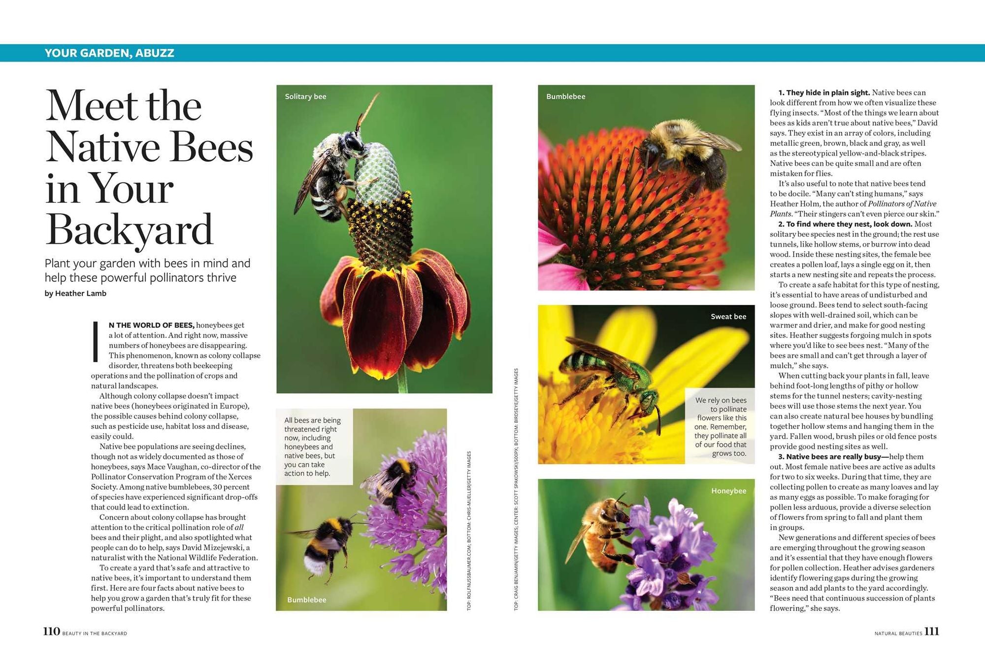 Birds & Blooms Beauty in the Backyard: 300+ TIPS, HINTS AND GARDEN GREATS TO CREATE AN OUTDOOR SPACE YOU CAN APPRECIATE YEAR-ROUND