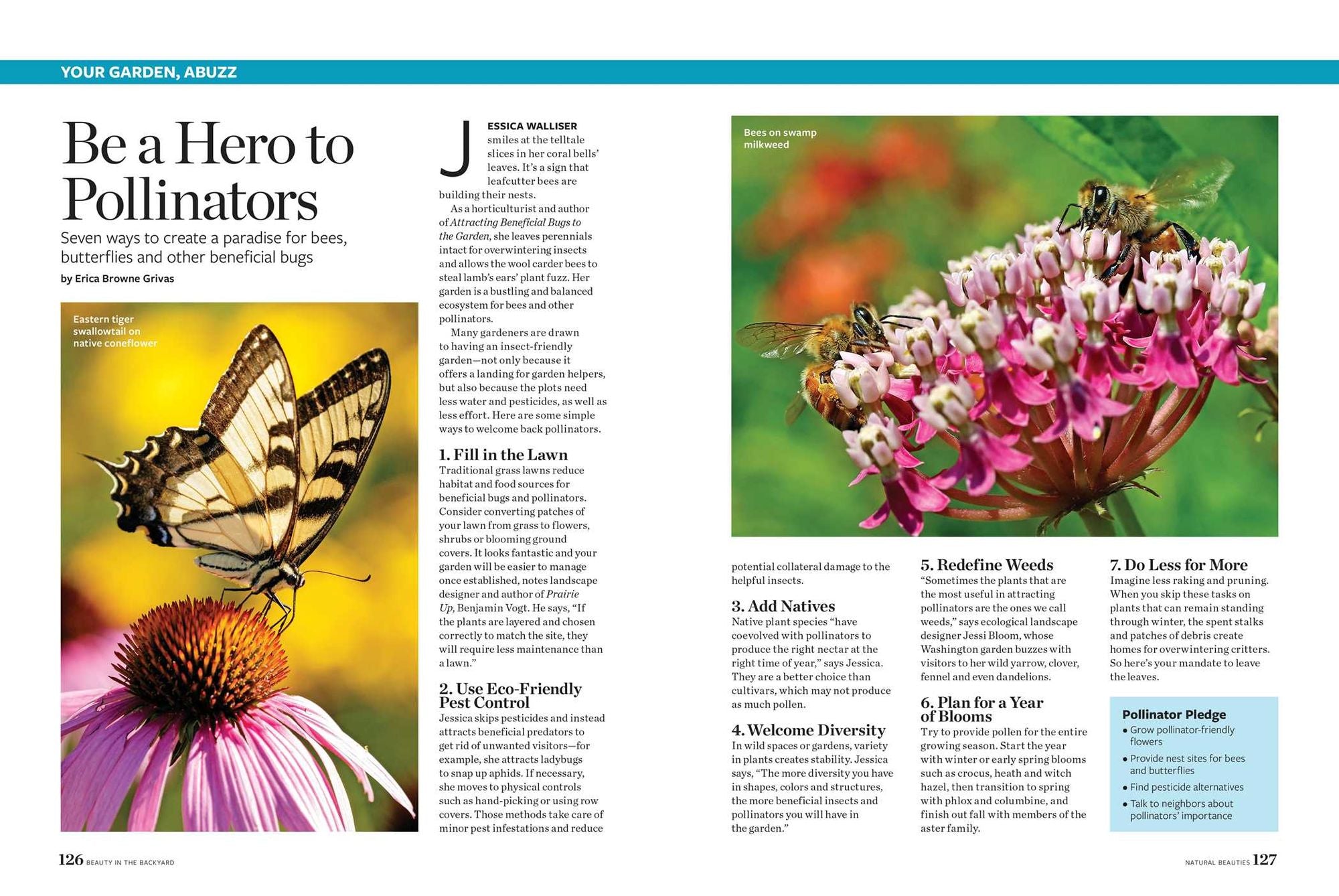 Birds & Blooms Beauty in the Backyard: 300+ TIPS, HINTS AND GARDEN GREATS TO CREATE AN OUTDOOR SPACE YOU CAN APPRECIATE YEAR-ROUND