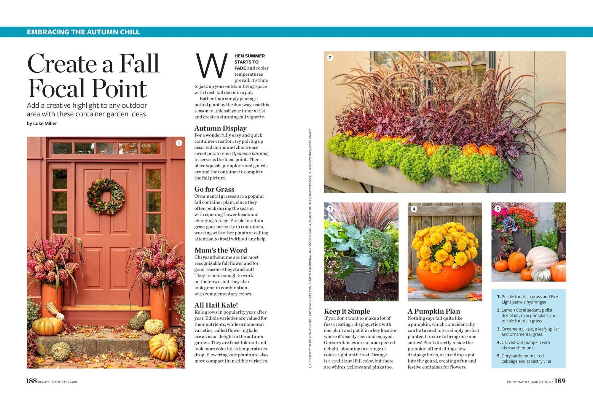 Birds & Blooms Beauty in the Backyard: 300+ TIPS, HINTS AND GARDEN GREATS TO CREATE AN OUTDOOR SPACE YOU CAN APPRECIATE YEAR-ROUND