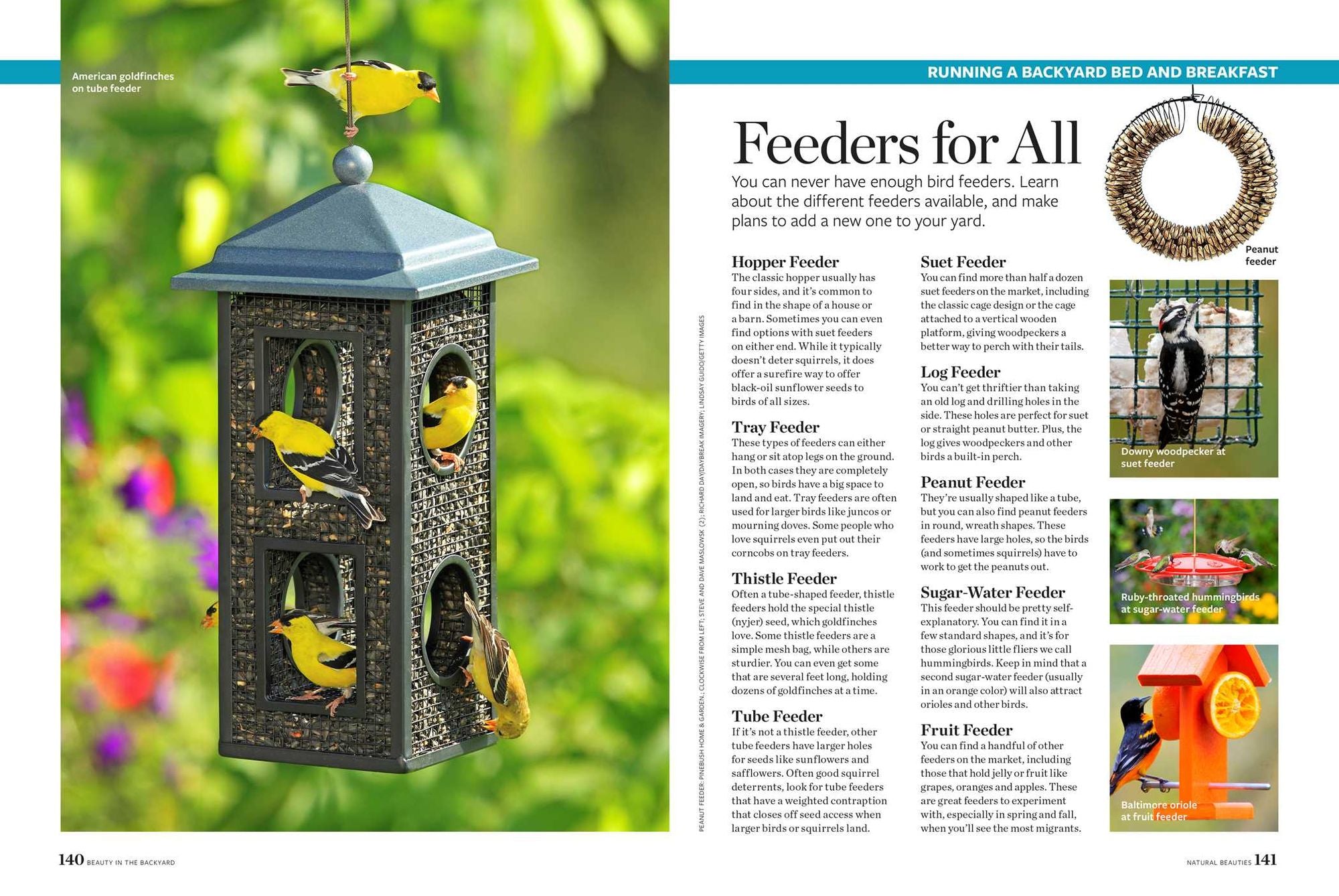 Birds & Blooms Beauty in the Backyard: 300+ TIPS, HINTS AND GARDEN GREATS TO CREATE AN OUTDOOR SPACE YOU CAN APPRECIATE YEAR-ROUND