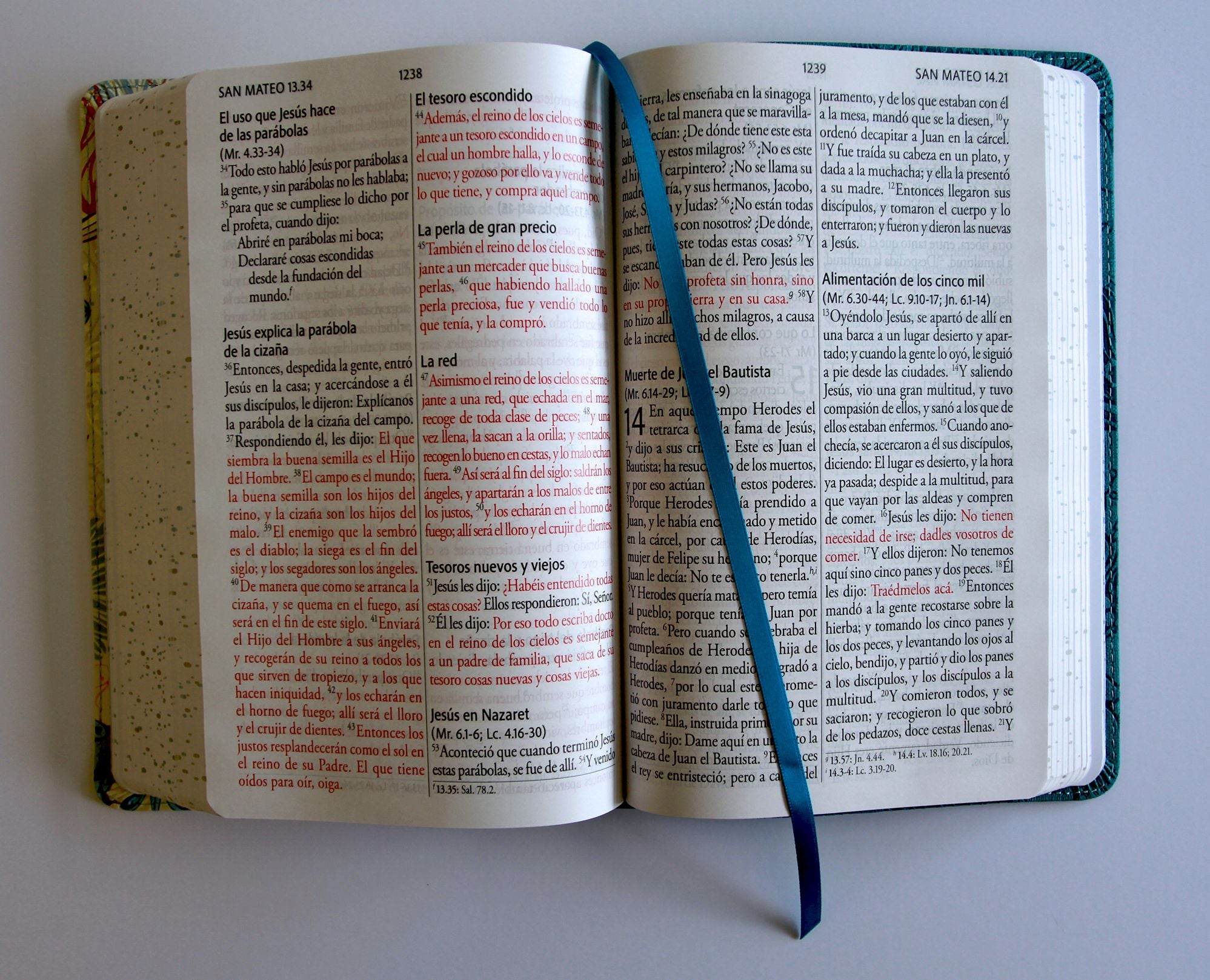 Biblia RVR 1960 Letra gigante, símil azul con Pájaros(Edición cantos pintados) / Spanish Bible RVR 1960 Giant Print Handy Size Leathersoft Light Blue