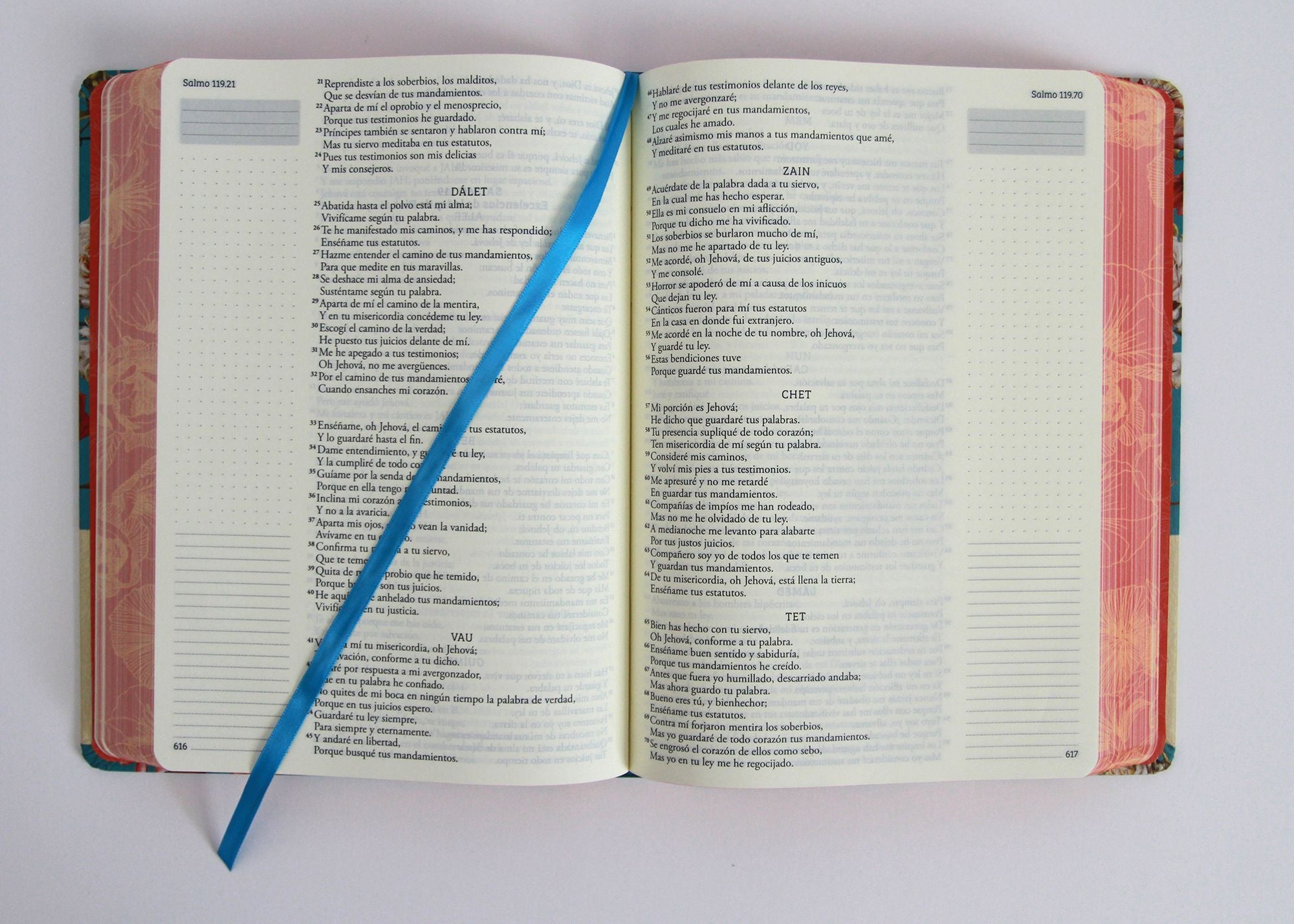 Biblia de Apuntes RVR 1960 Tapa dura, Azul celeste con flores (Edición cantos pintados) / Spanish Journaling Bible RVR 1960 Hardcover Light Blue with Flowers