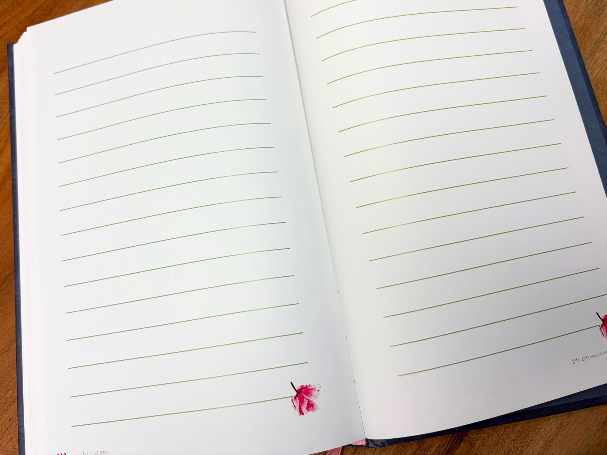 Una fe valiente: 100 devocionales para niñas / Fearless Faith: 100 Devotions for Girls