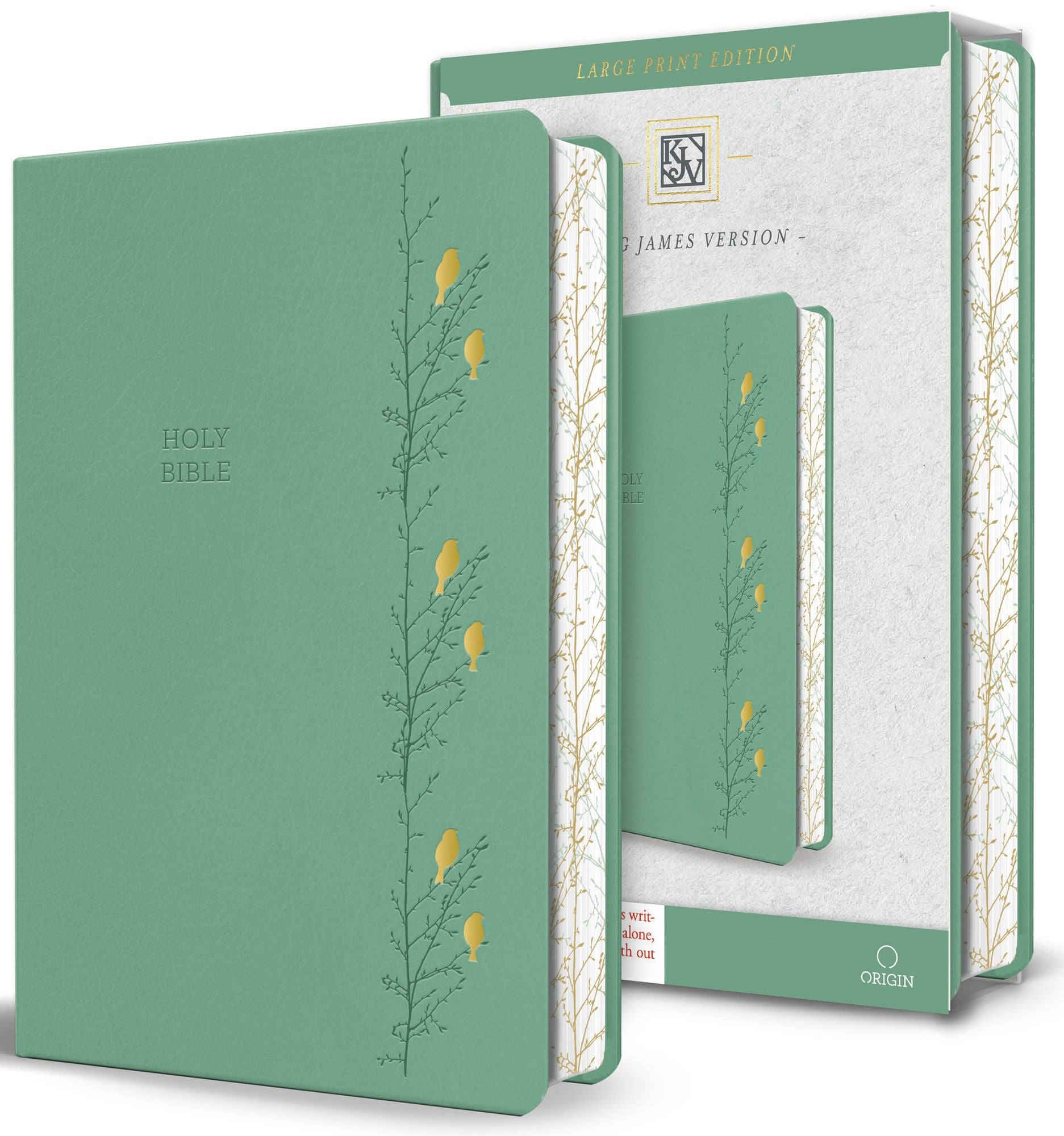 KJV Holy Bible, Large Print Medium Format, Green with Birds Faux Leather w/ Ribbon Marker, Red Letter