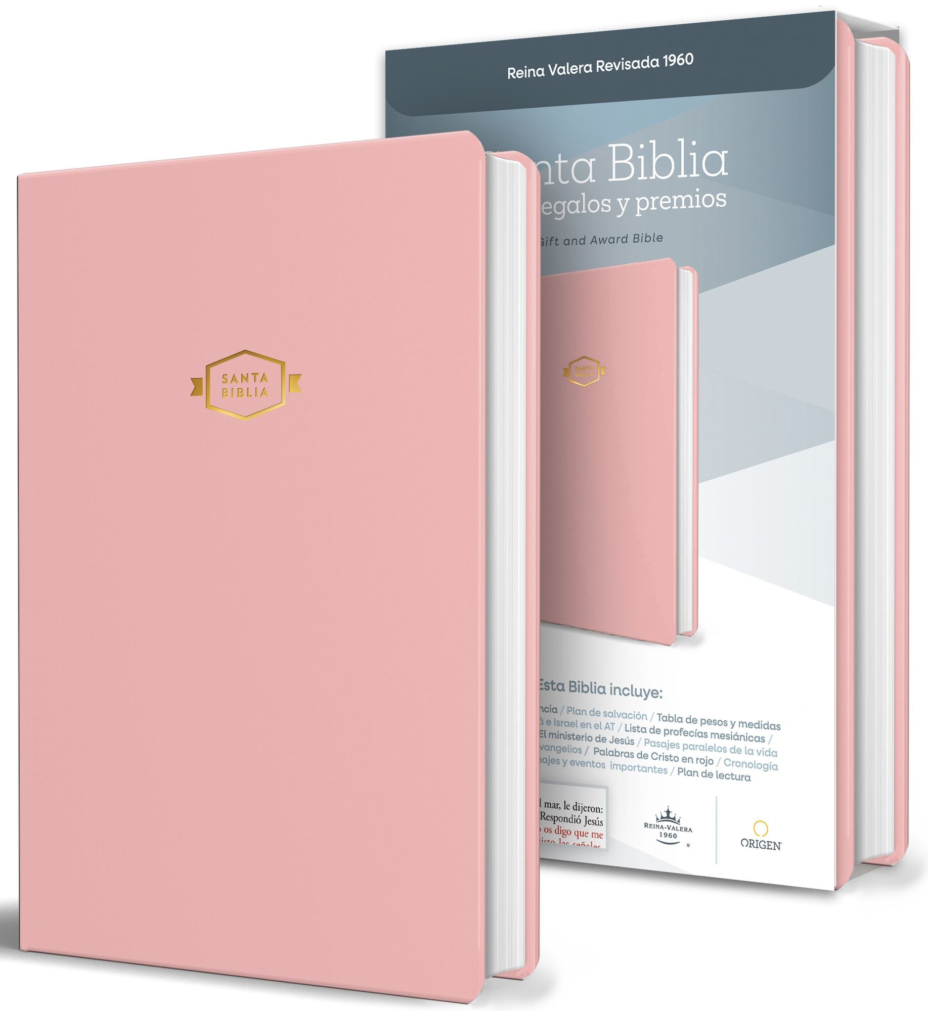 Biblia RVR 1960 para regalos y premios, rosada / Spanish Bible RVR 1960 Gift and Award Bible Pink