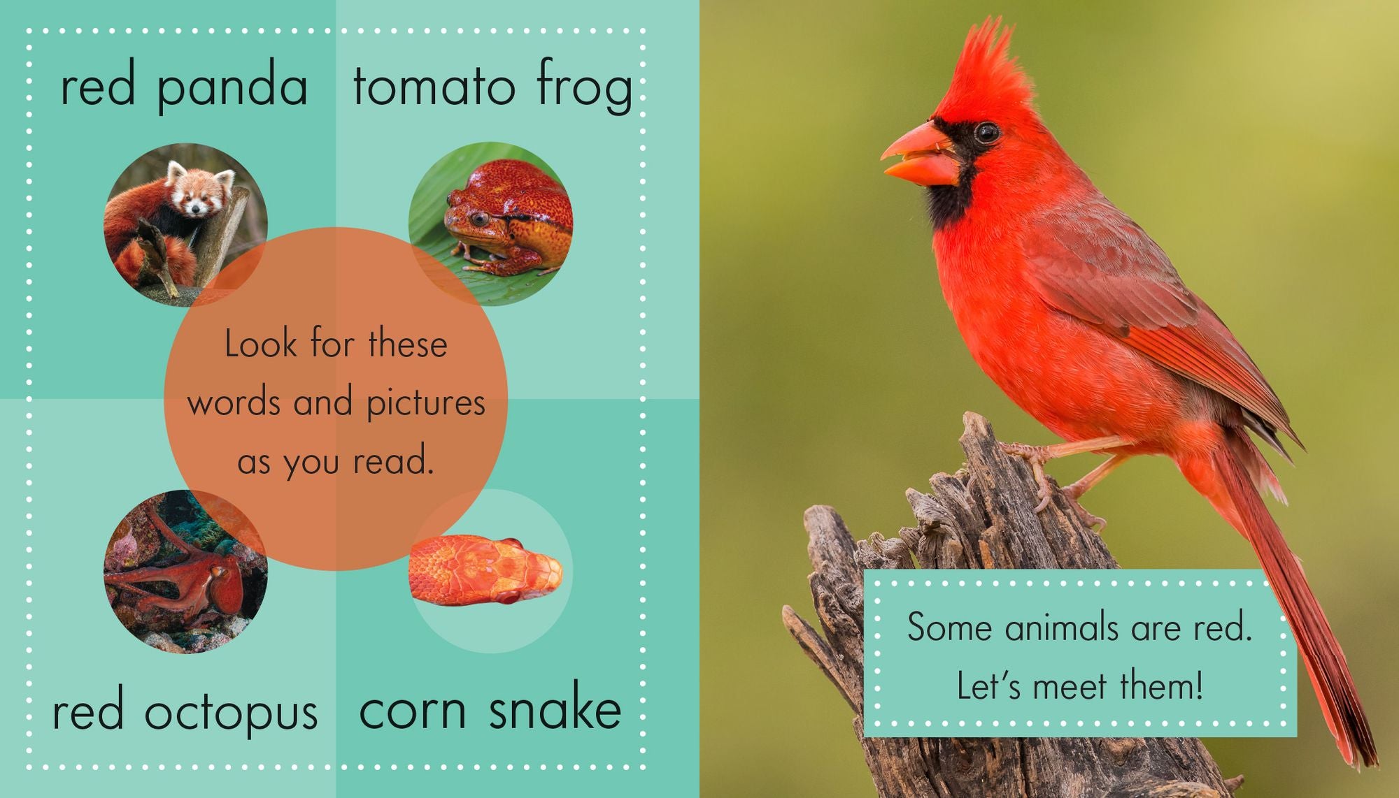 Red Animals