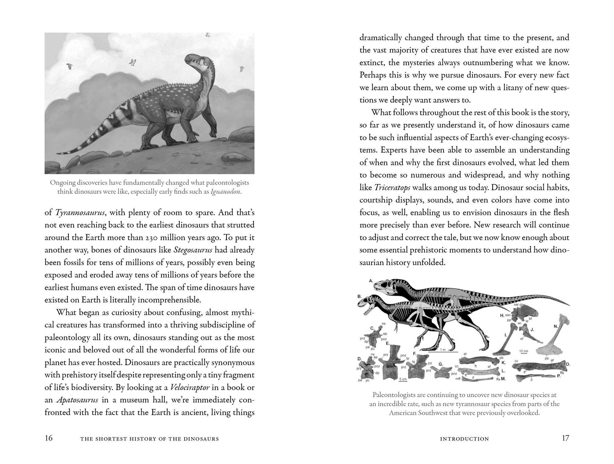 The Shortest History of the Dinosaurs: The 230-Million-Year Story of Their Time on Earth