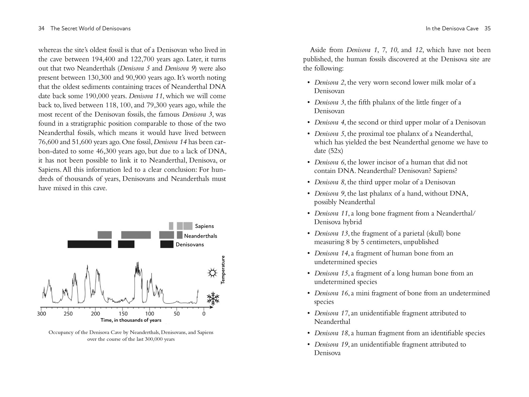 The Secret World of Denisovans: The Epic Story of the Ancient Cousins to Sapiens and Neanderthals