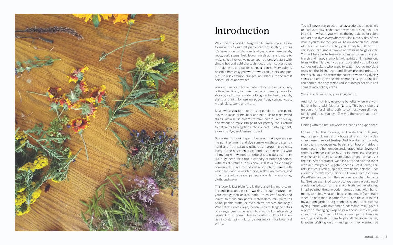 1000 Botanical Colors: Make Your Own Dyes, Paints, Inks, Stains, and Pottery Paints from 250 Plants