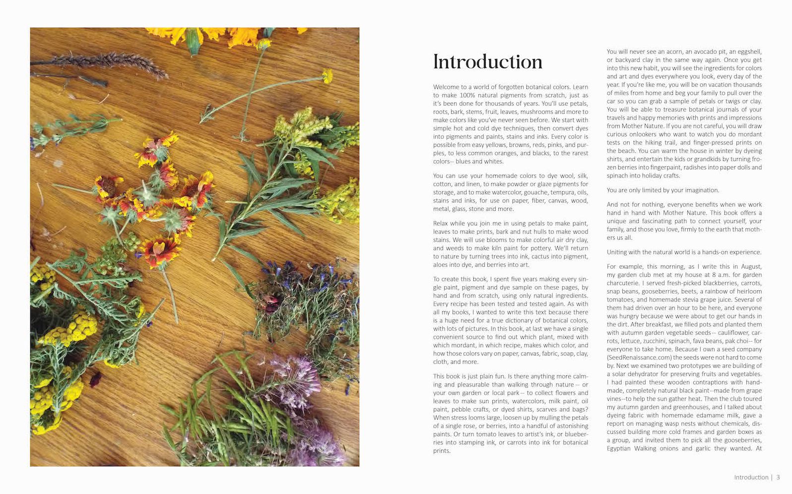 1000 Botanical Colors: Make Your Own Dyes, Paints, Inks, Stains, and Pottery Paints from 250 Plants