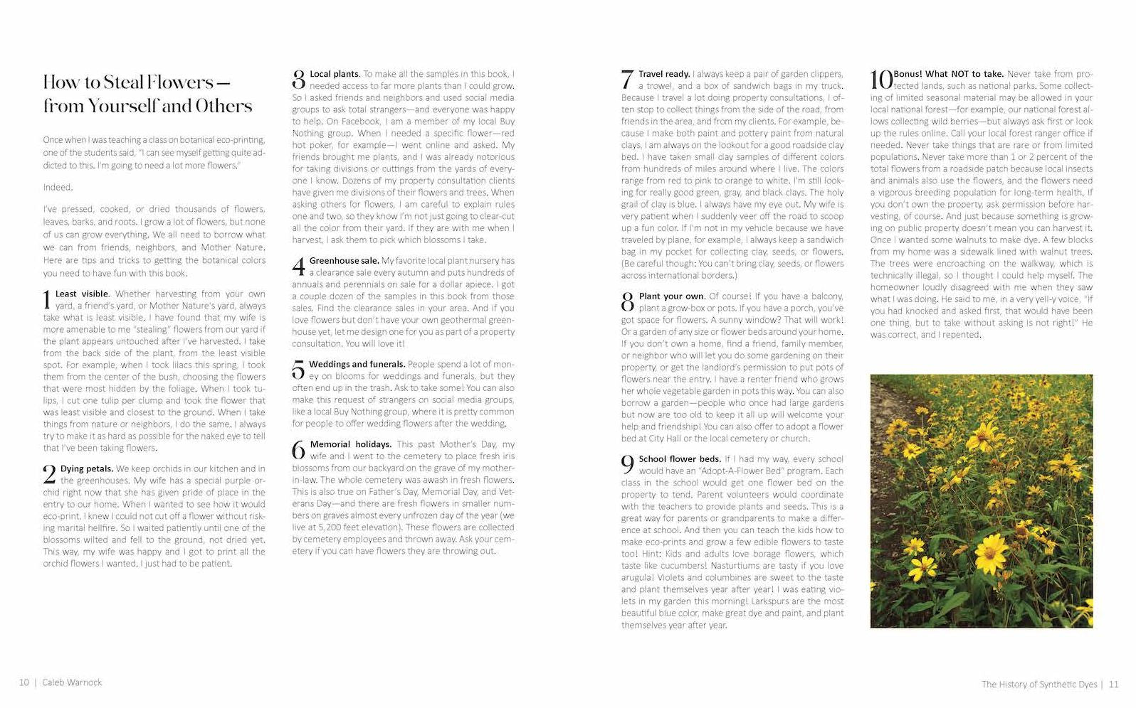 1000 Botanical Colors: Make Your Own Dyes, Paints, Inks, Stains, and Pottery Paints from 250 Plants