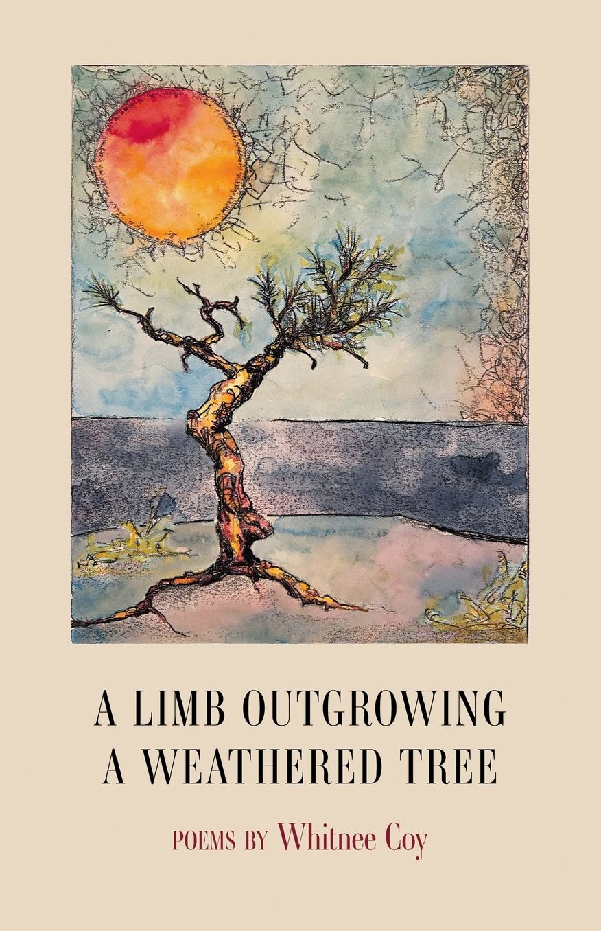 A Limb Outgrowing a Weathered Tree