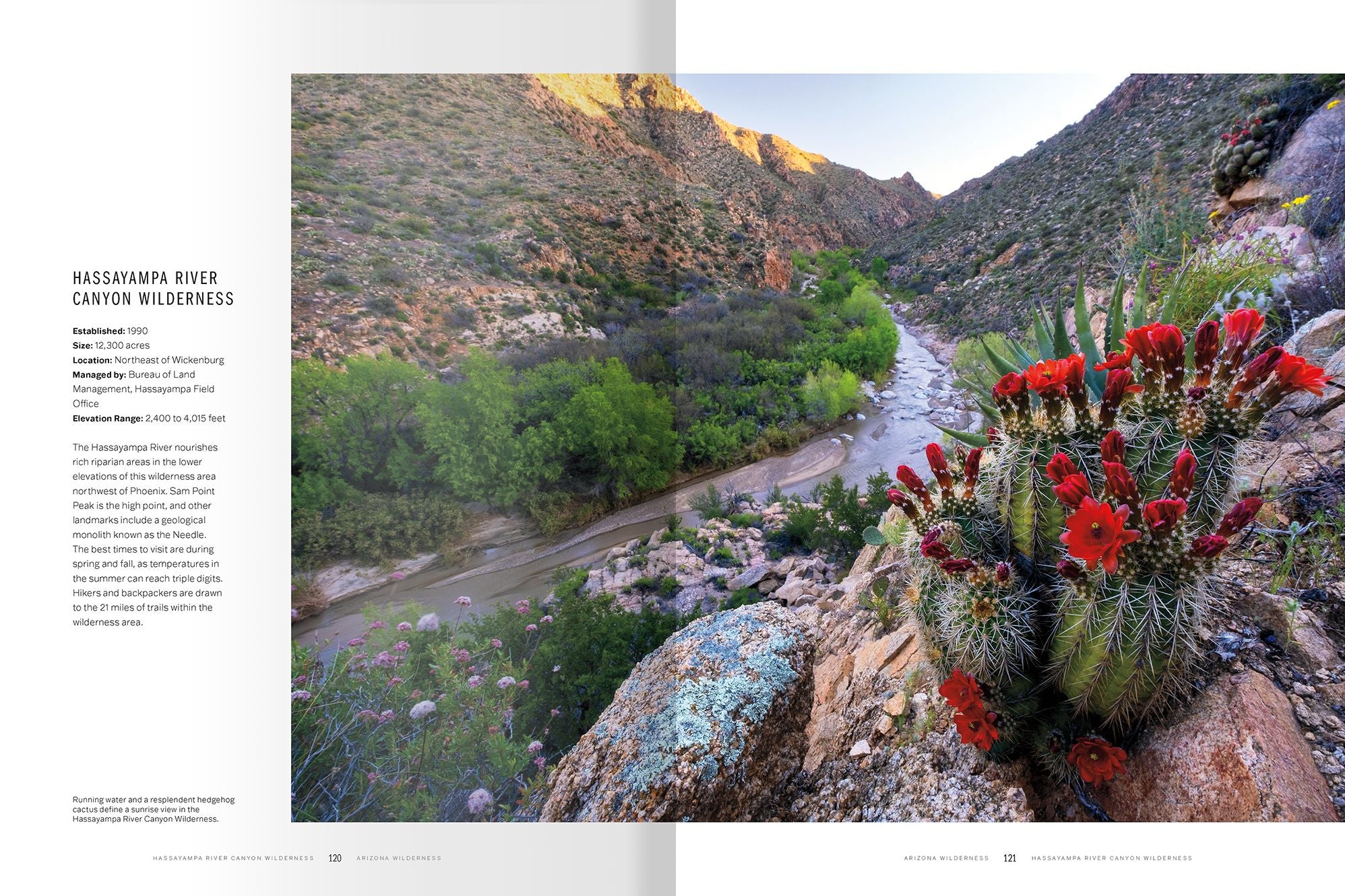 Arizona Wilderness: A Celebration of the State's 90 Most Pristine Places