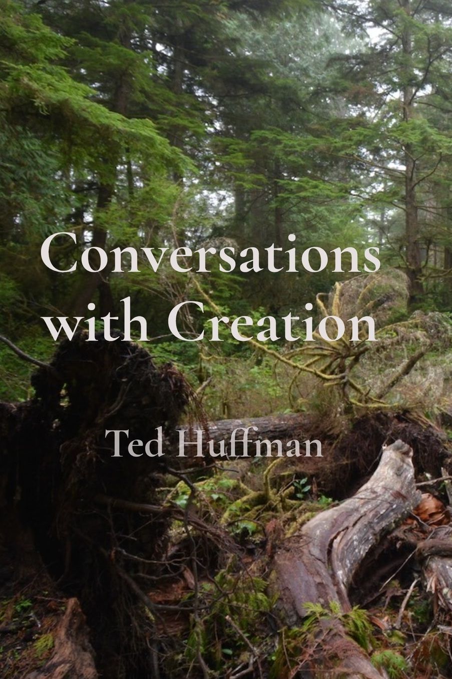 Conversations with Creation