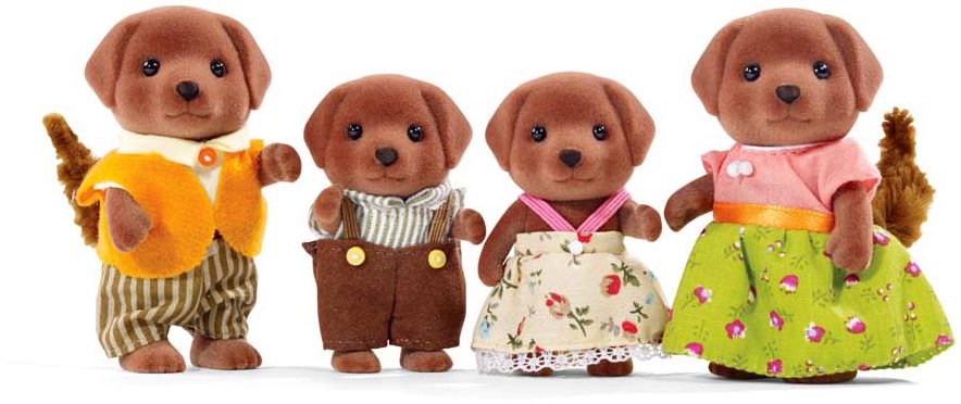 Chocolate Labrador Family