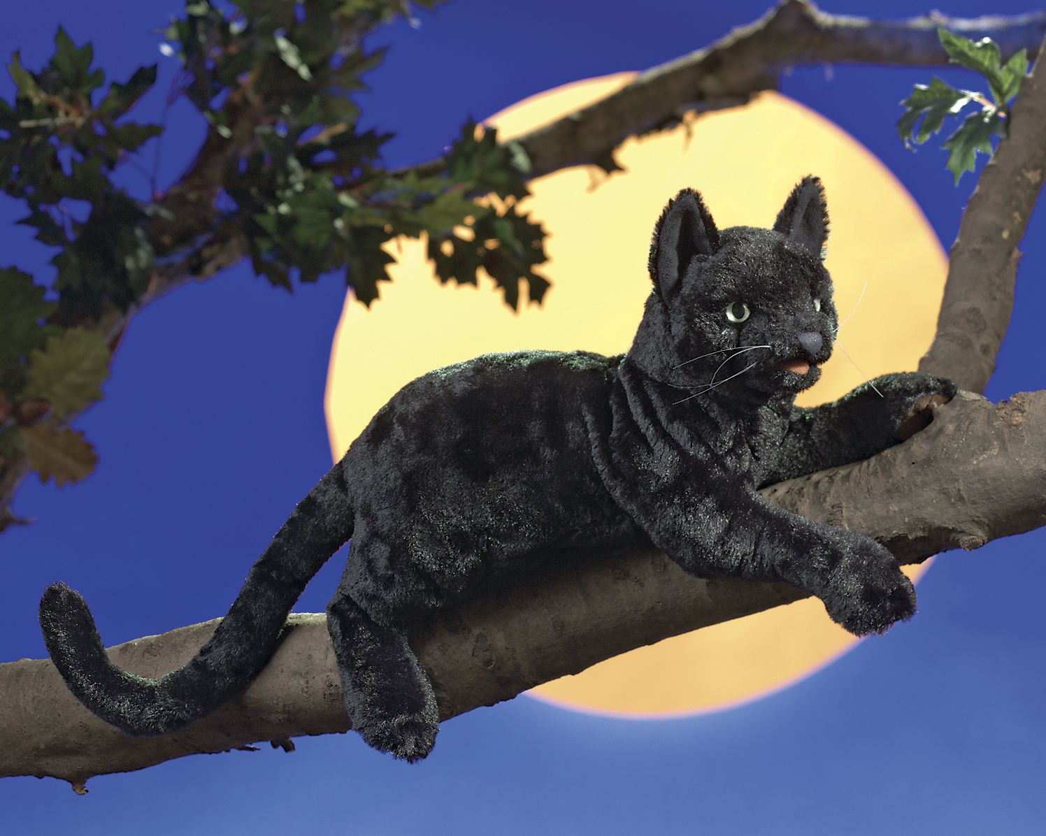 Black Cat Puppet