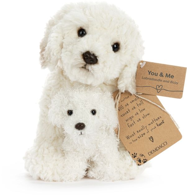 Labradoodle & Baby