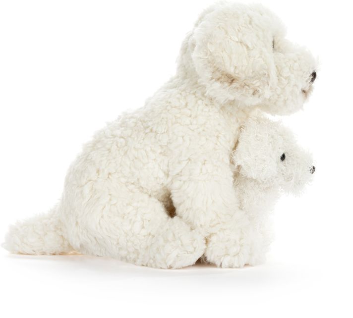 Labradoodle & Baby