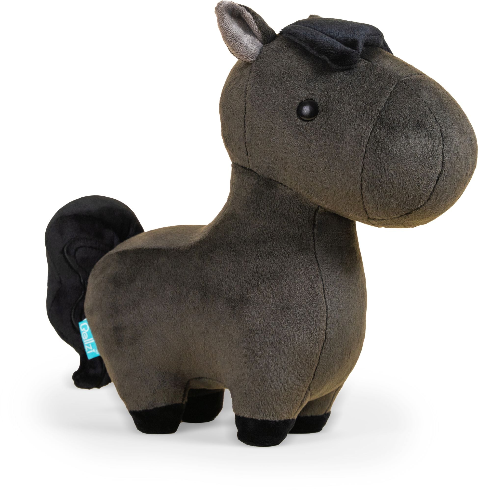 Friesian the Horse