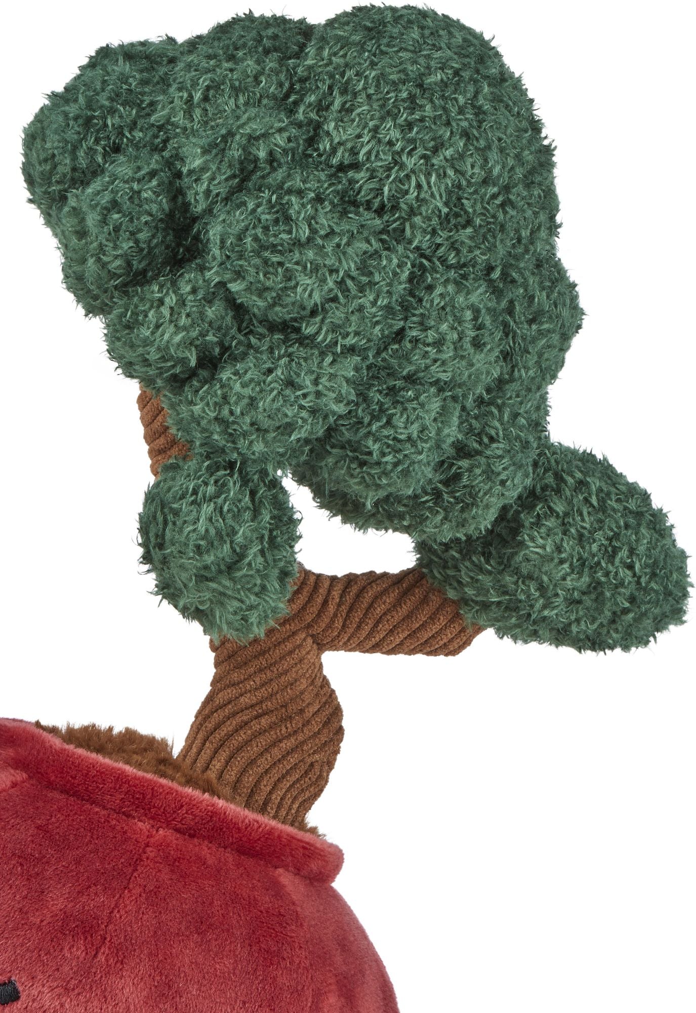 Bonzai