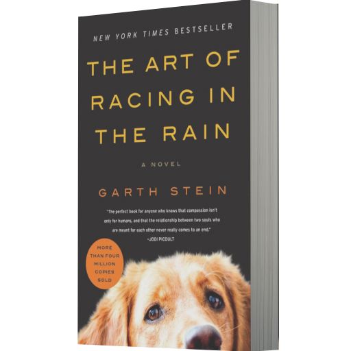 The Art of Racing in the Rain