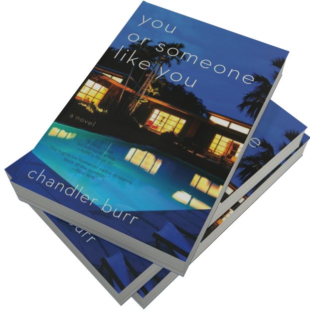 You or Someone Like You: A Novel