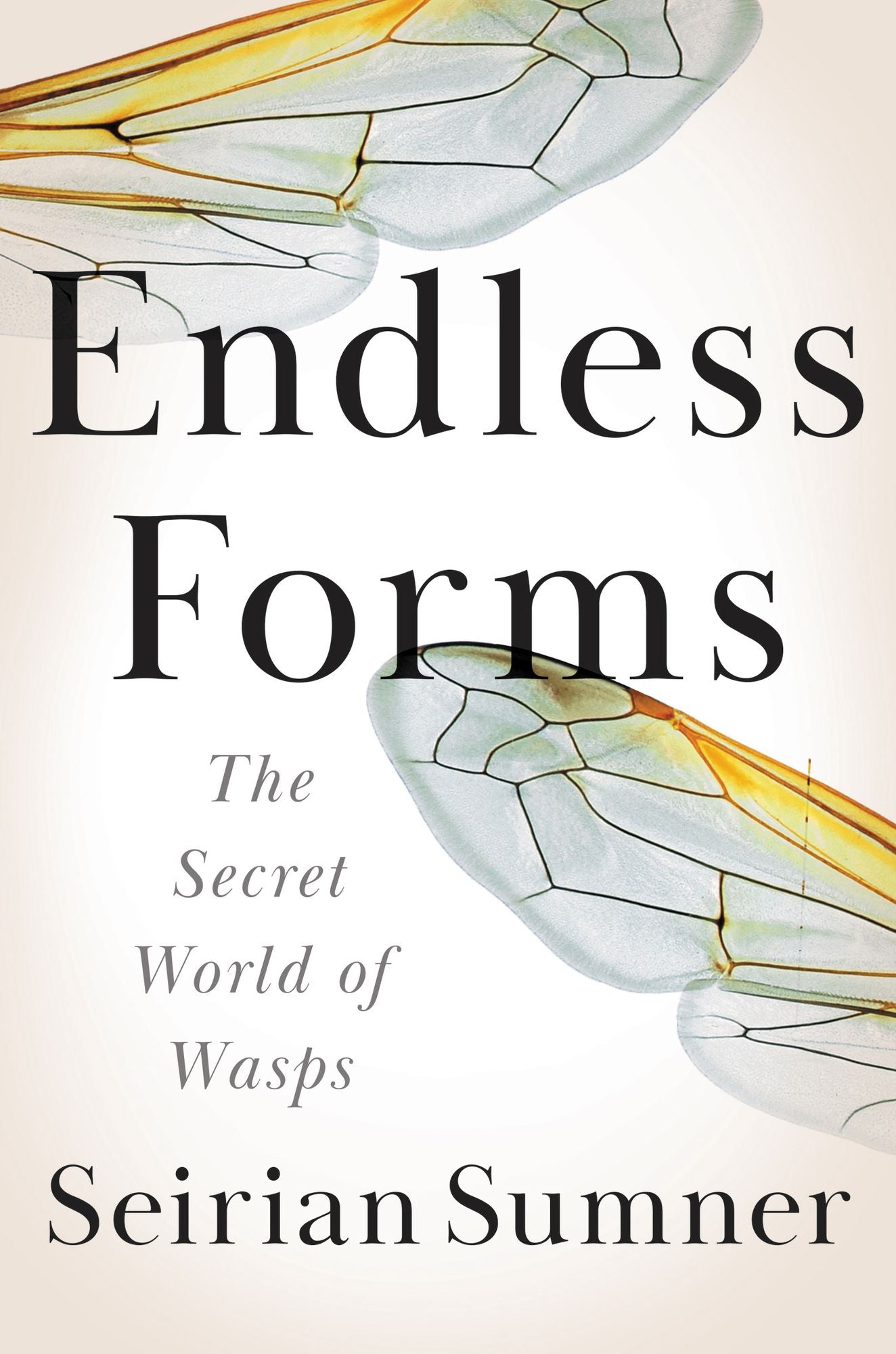Endless Forms: The Secret World of Wasps