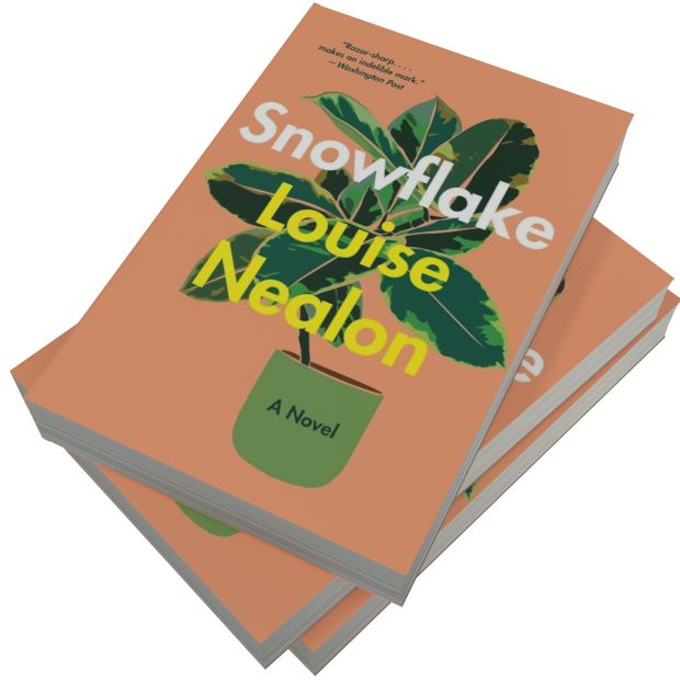 Snowflake: A Novel