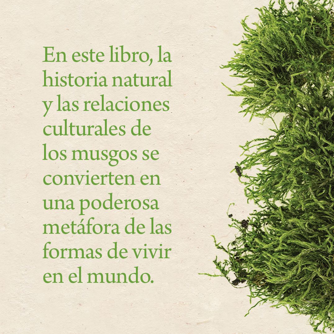 Reserva de musgo: Una historia natural y cultural de los musgos Gathering Moss: A Natural and Cultural History of Mosses (Spanish Edition)