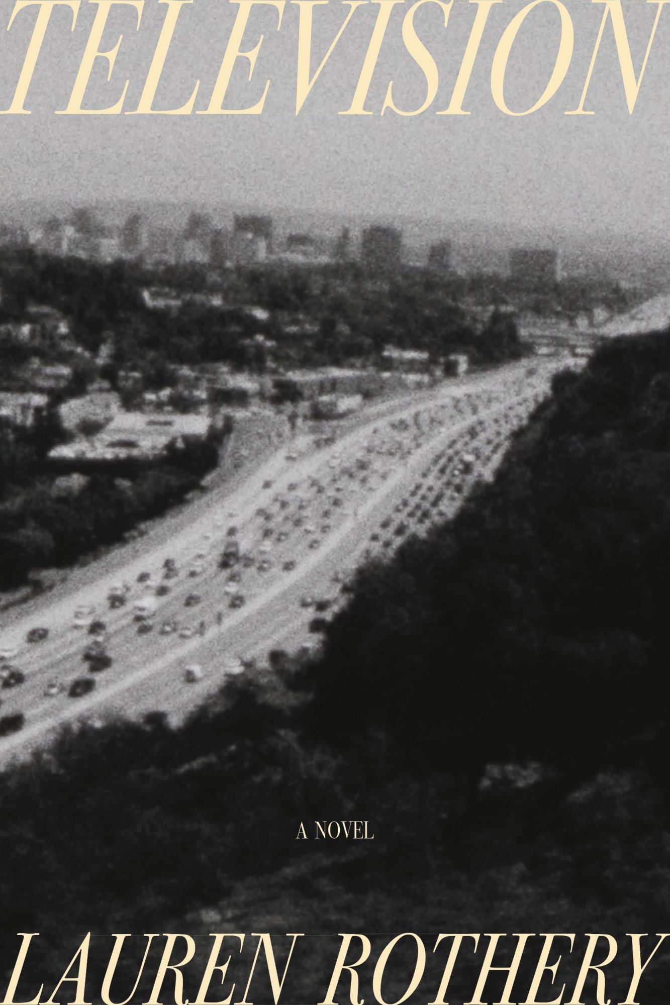 Television: A Novel
