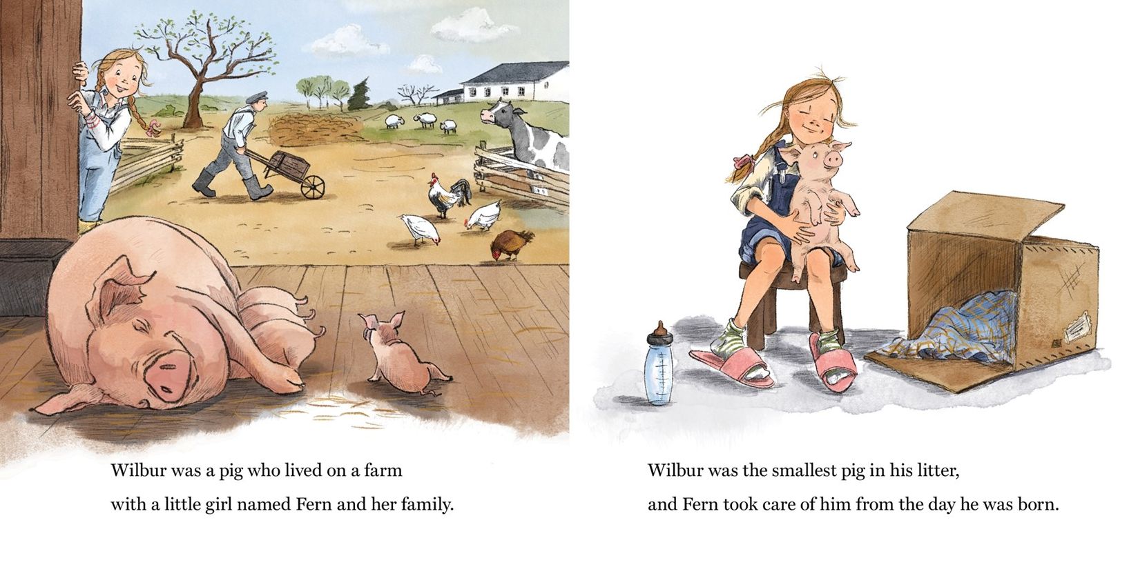 Charlotte's Web