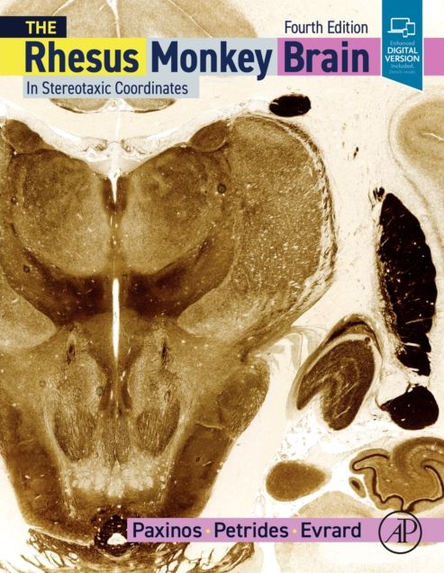The Rhesus Monkey Brain in Stereotaxic Coordinates