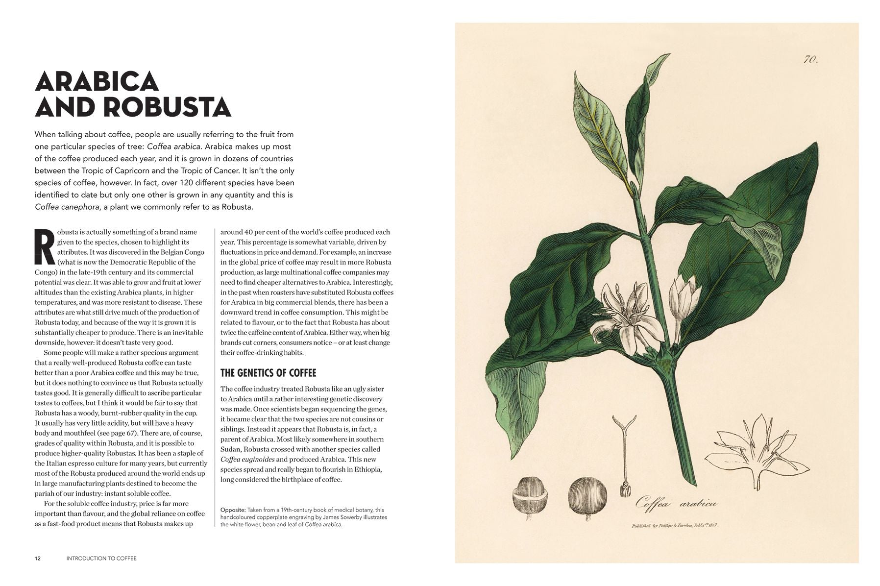 The World Atlas of Coffee: From Beans to Brewing -- Coffees Explored, Explained and Enjoyed