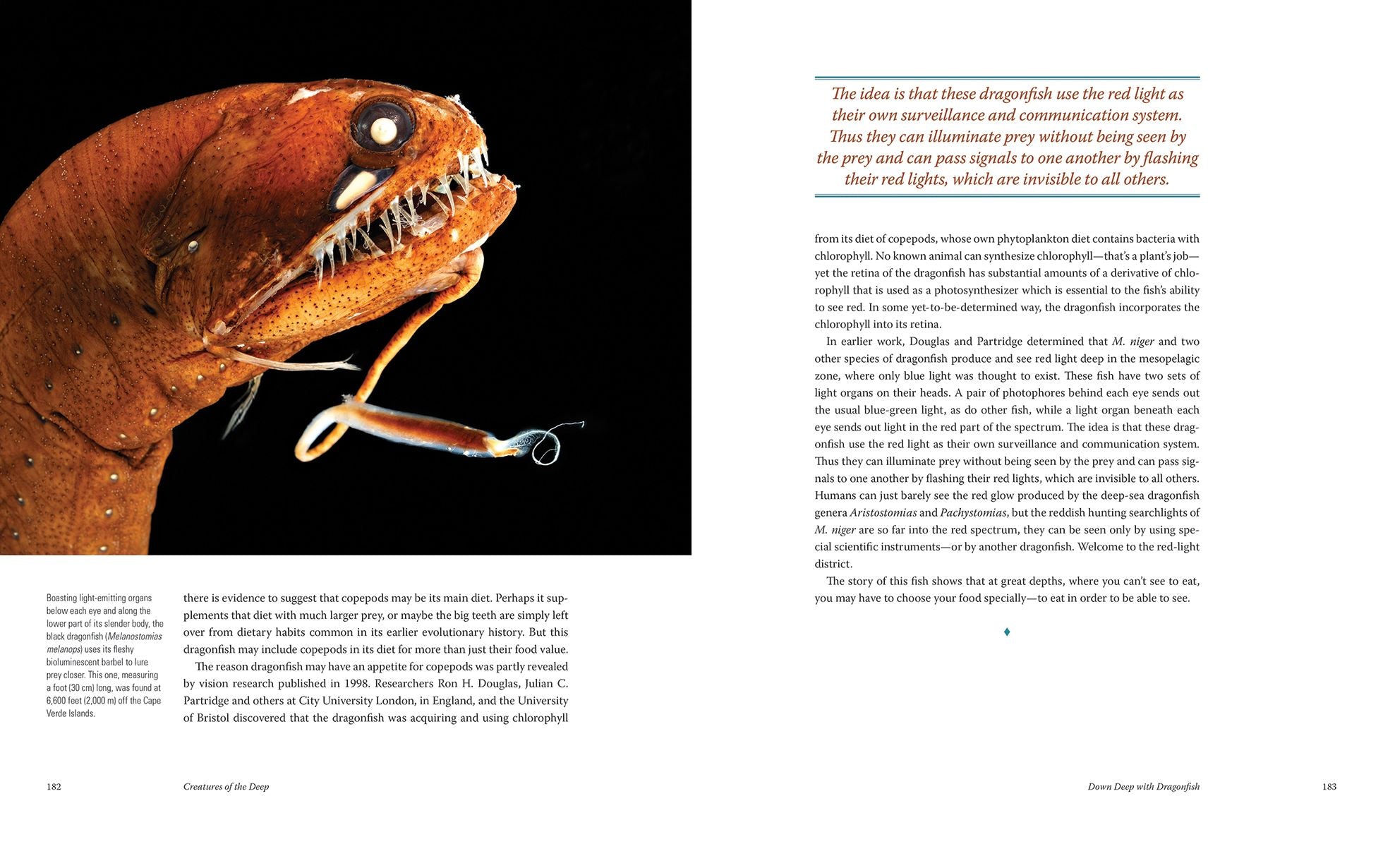 Creatures of the Deep: In Search of the Sea's Monsters and the World They Live In