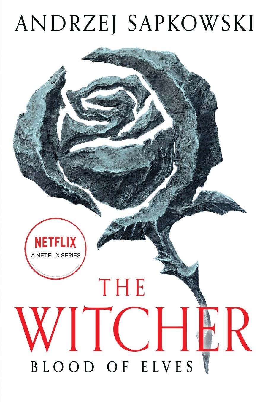 Blood of Elves (Witcher Series #1)