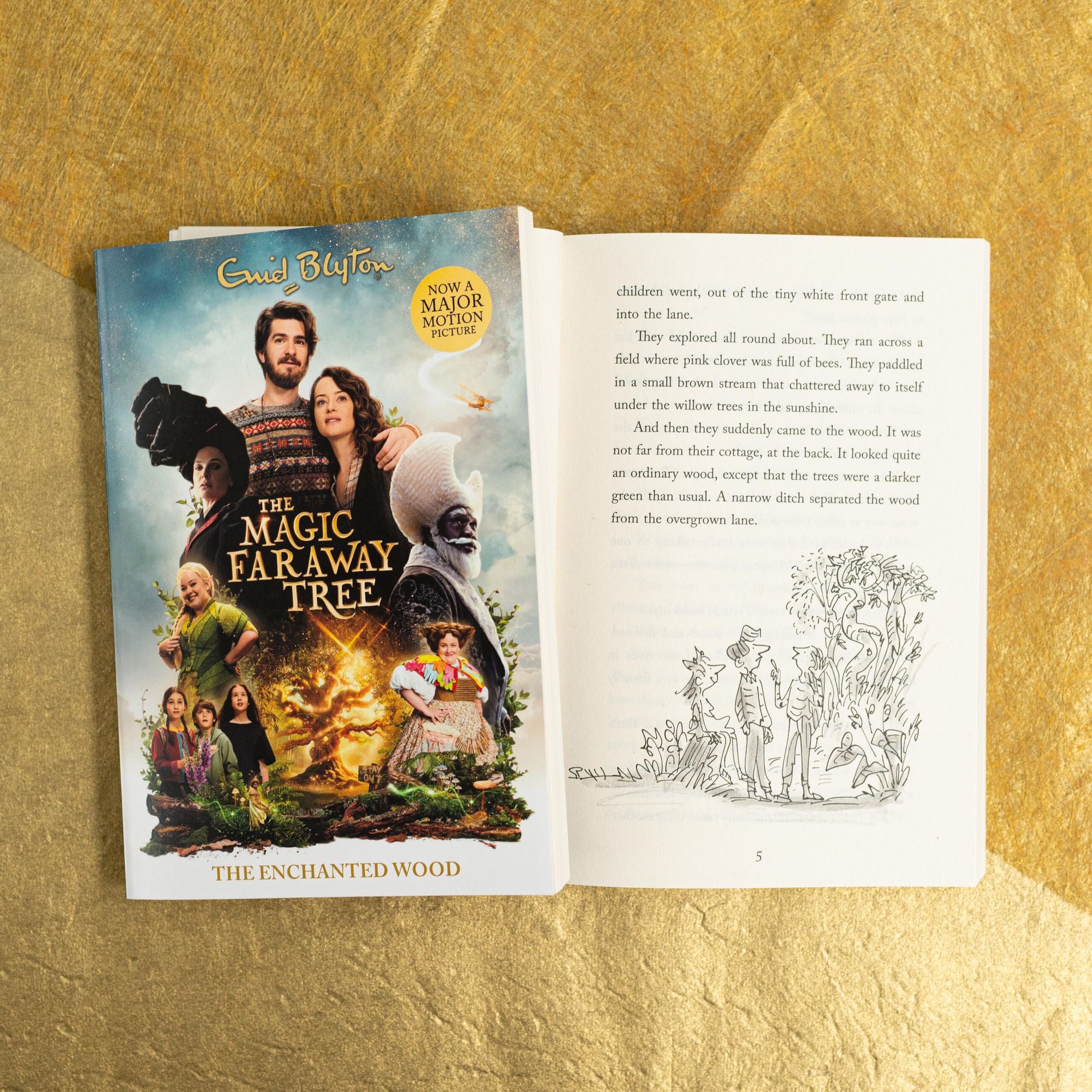 The Magic Faraway Tree: The Enchanted Wood