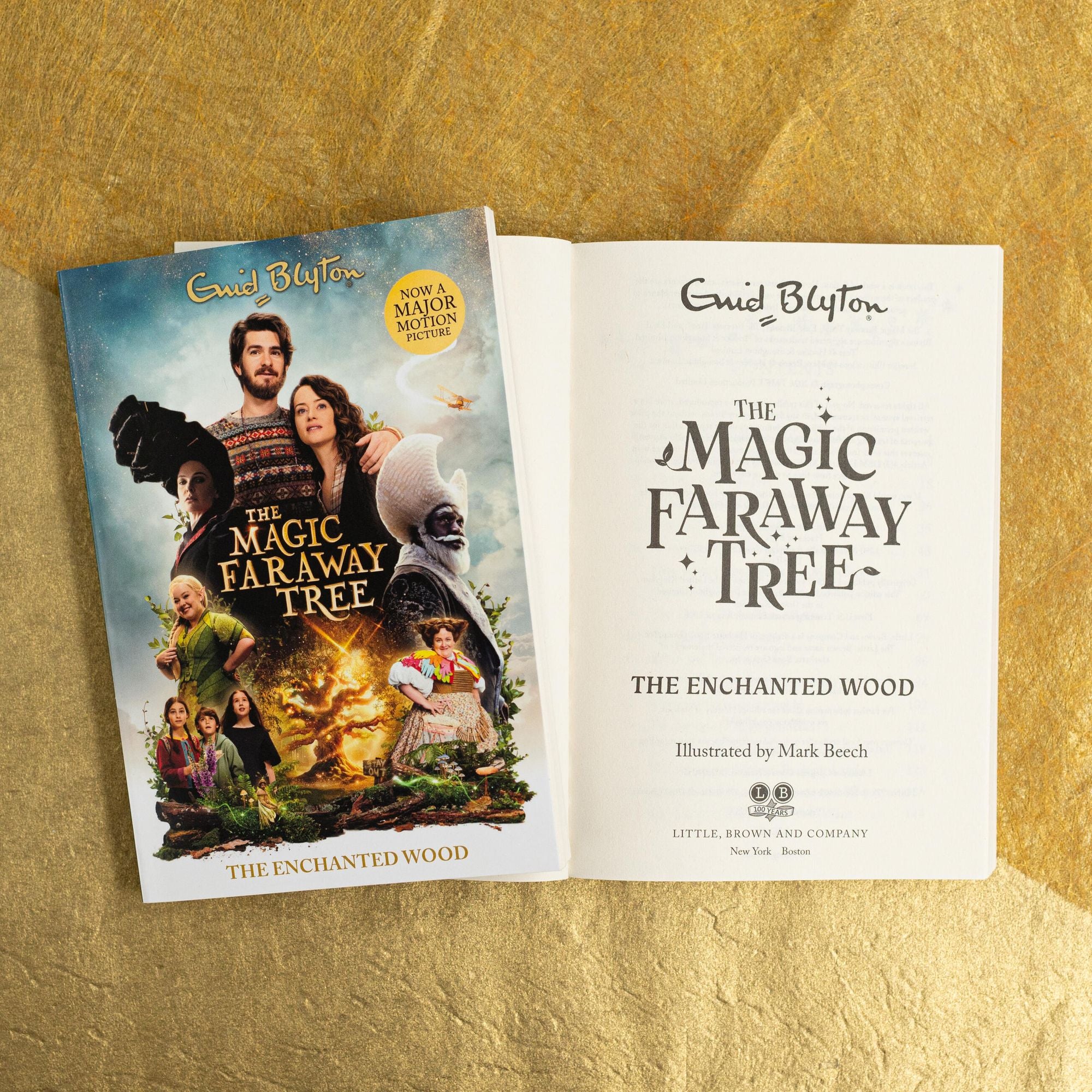The Magic Faraway Tree: The Enchanted Wood