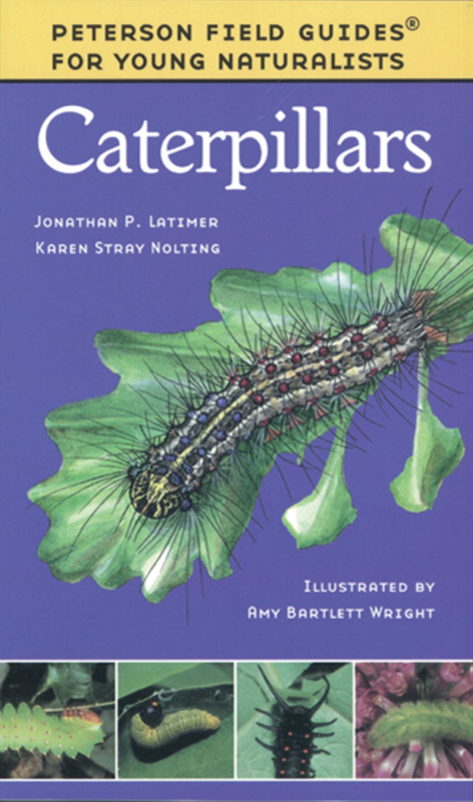 Caterpillars