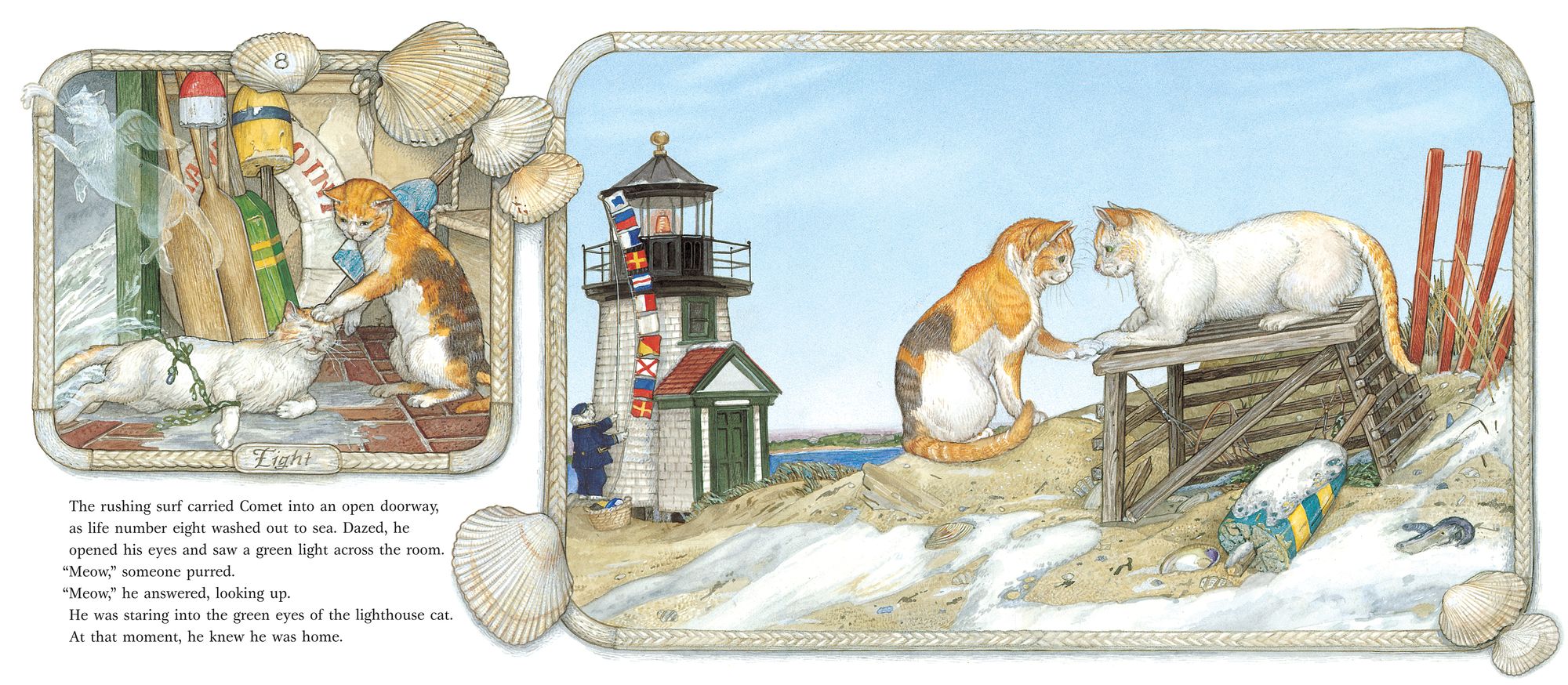 Comet's Nine Lives